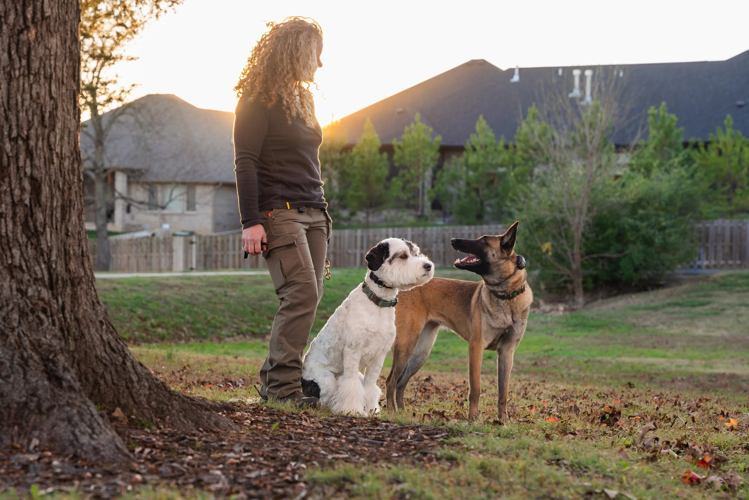 Kristin Sharp Photography - Kristi Anderson & Dogs Nov 2024-33.jpg