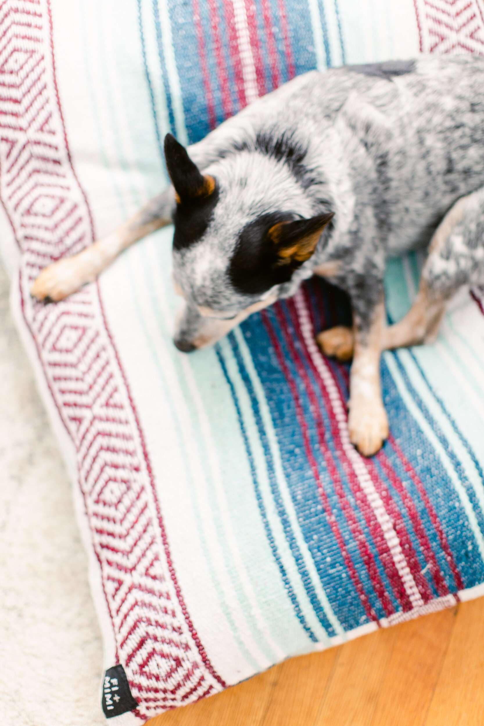 Mexican Blanket Dog Beds Shop FI MIMI Goods