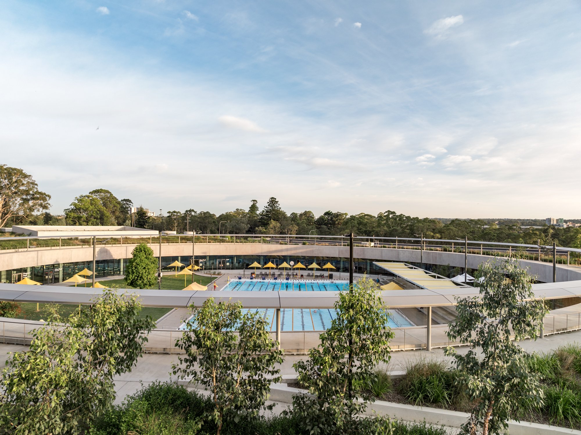 PAquatic_MCG_196.jpg
