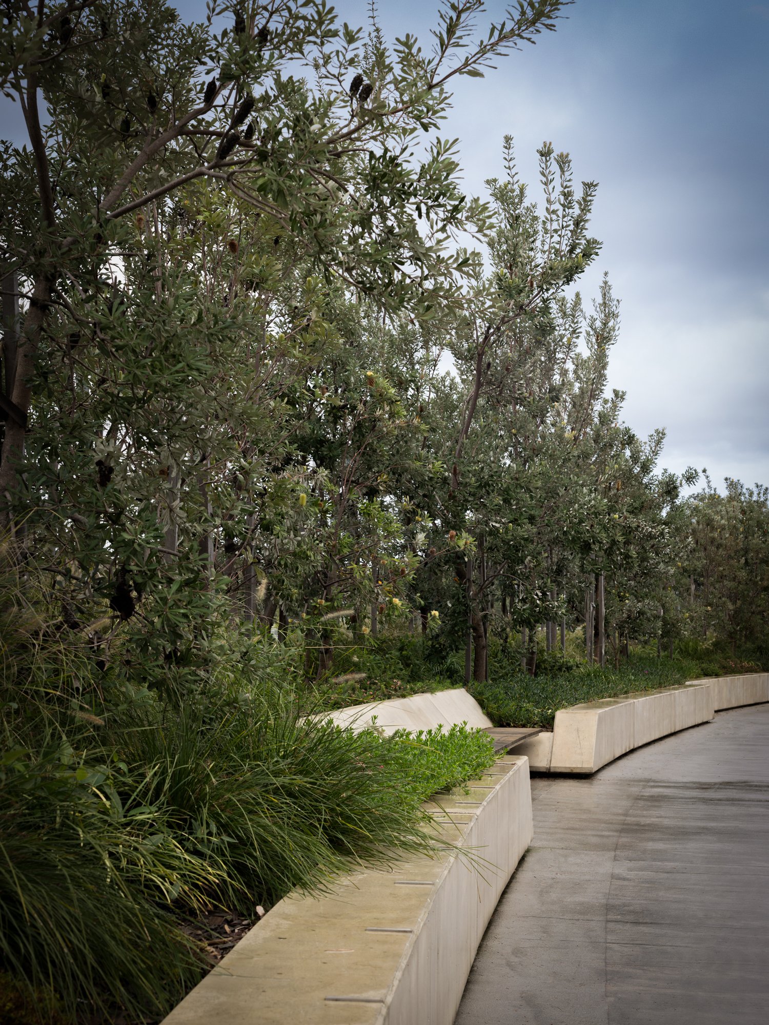 A curved concrete pathway with modern concrete benches on the side, surrounded by lush green bushes and trees under a cloudy sky. Designed by Colin Polwarth Studio Photo by Ruth Gold