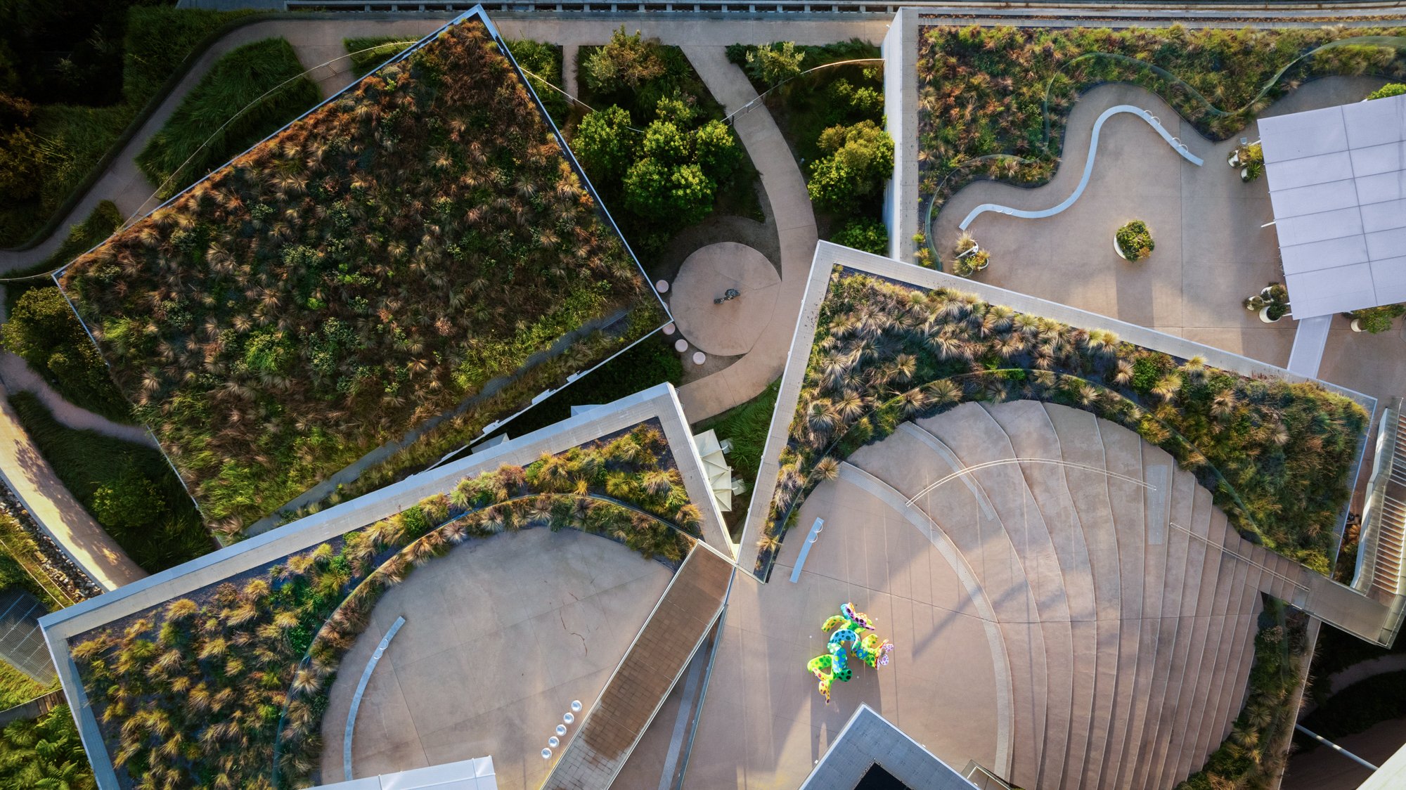 DJI_0727_v2.jpg