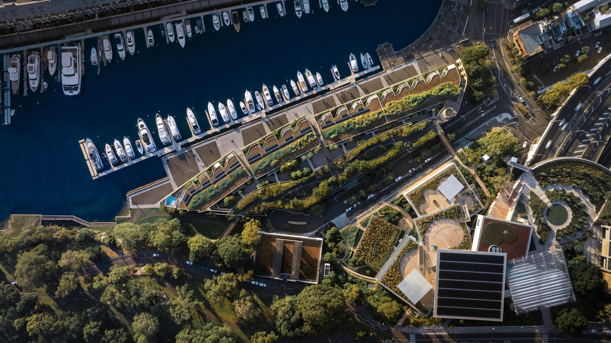 DJI_0911.jpg