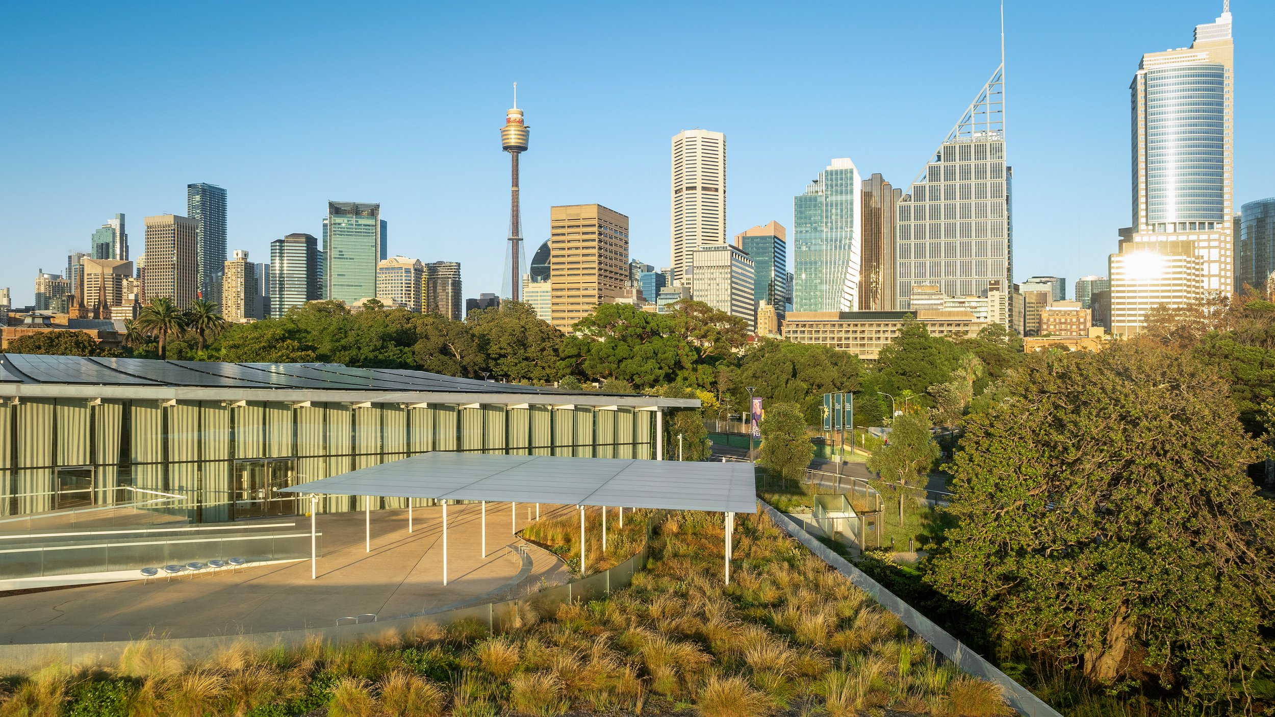A city skyline with tall modern skyscrapers and a prominent tower against a clear blue sky, with a green park and a building with glass walls in the foreground. Designed by McGregor Coxall Photo by Ruth Gold