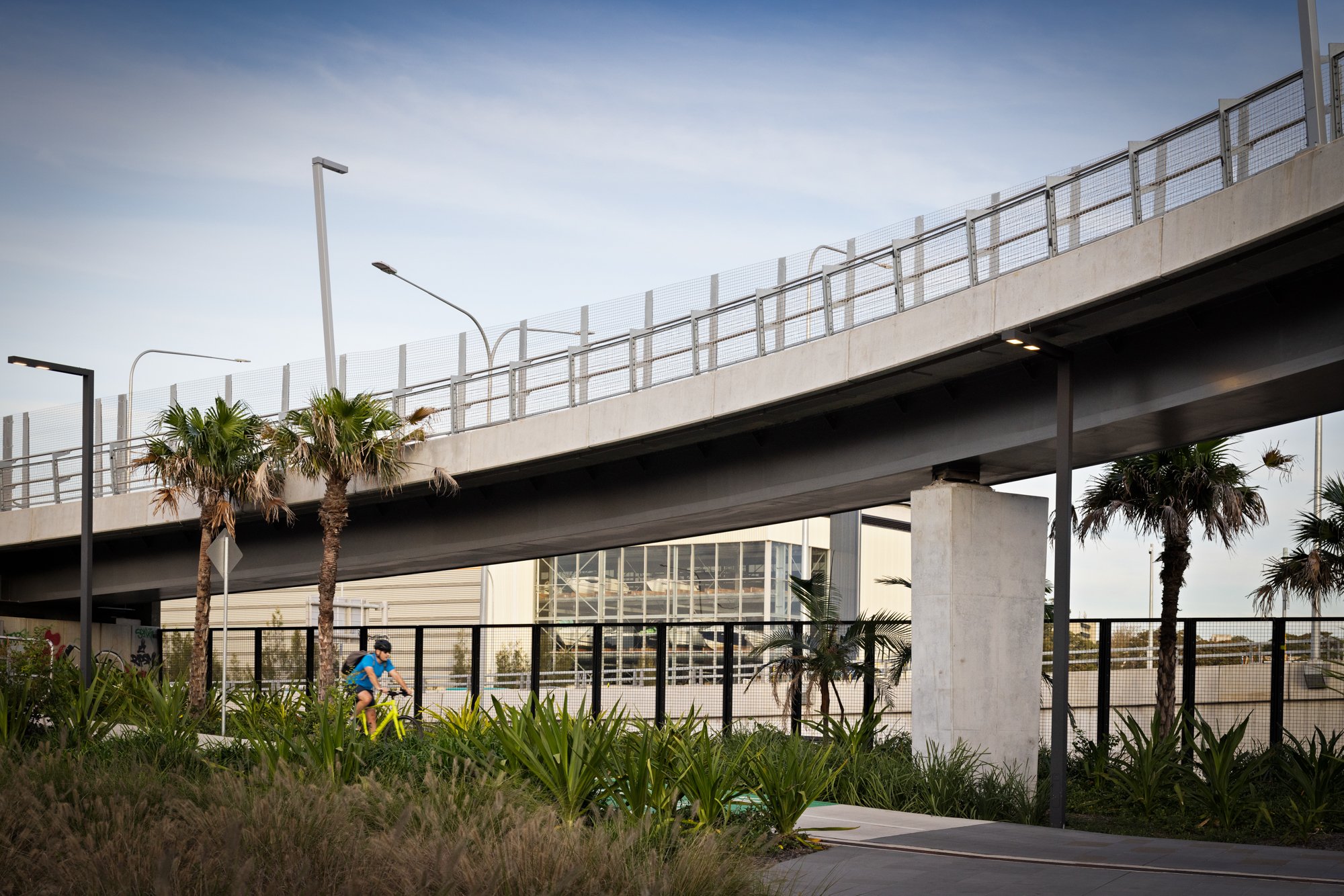 A person riding a bicycle underneath a concrete overpass with street lamps and palm trees, in an urban park-like area. Designed by Colin Polwarth Studio Photo by Ruth Gold