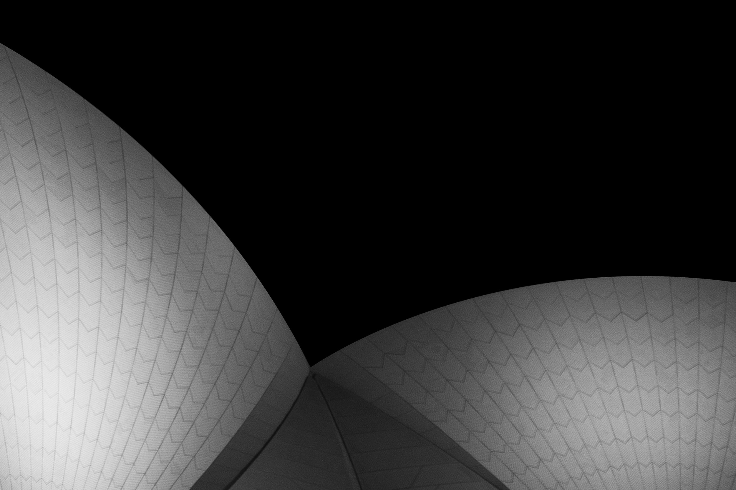 Close-up of the exterior of a modern building with curved surfaces and gray patterned panels against a black sky. Opera House Photo by Ruth Gold