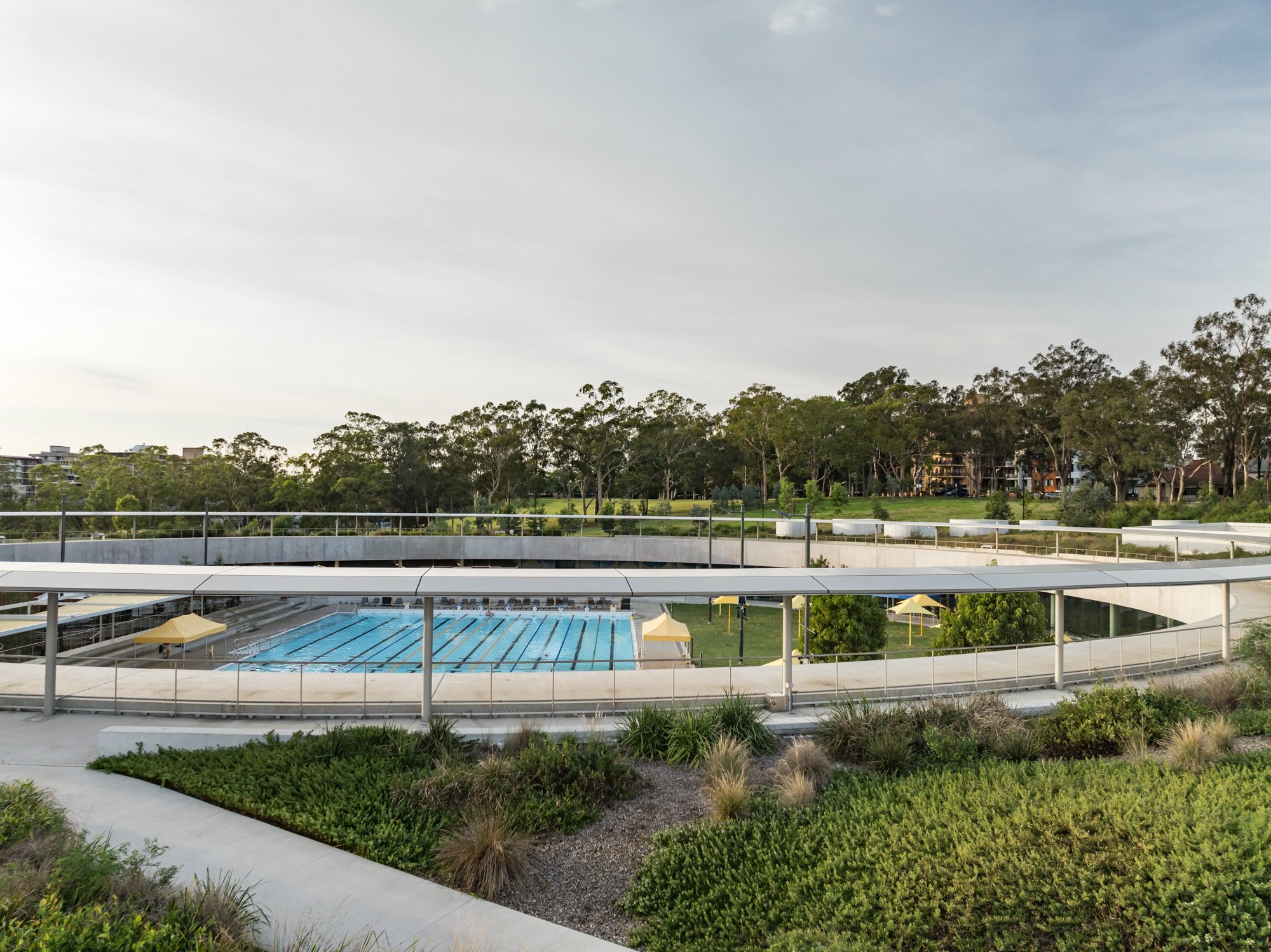 PAquatic_MCG_376.jpg