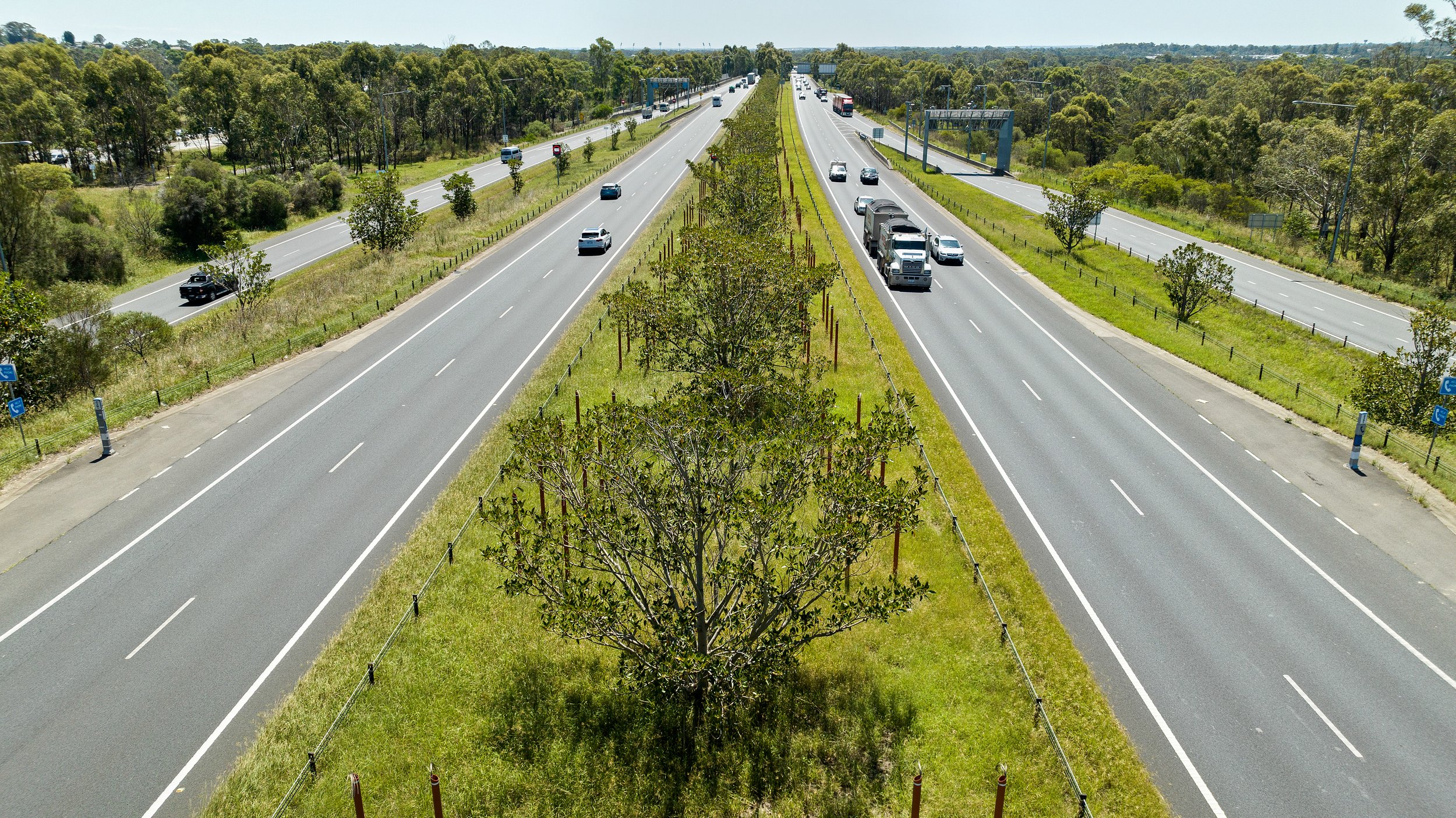Aerial view of a divided highway with cars and trucks, surrounded by green trees and grass on a sunny day. Designed by Colin Polwarth Studio Photo by Ruth Gold