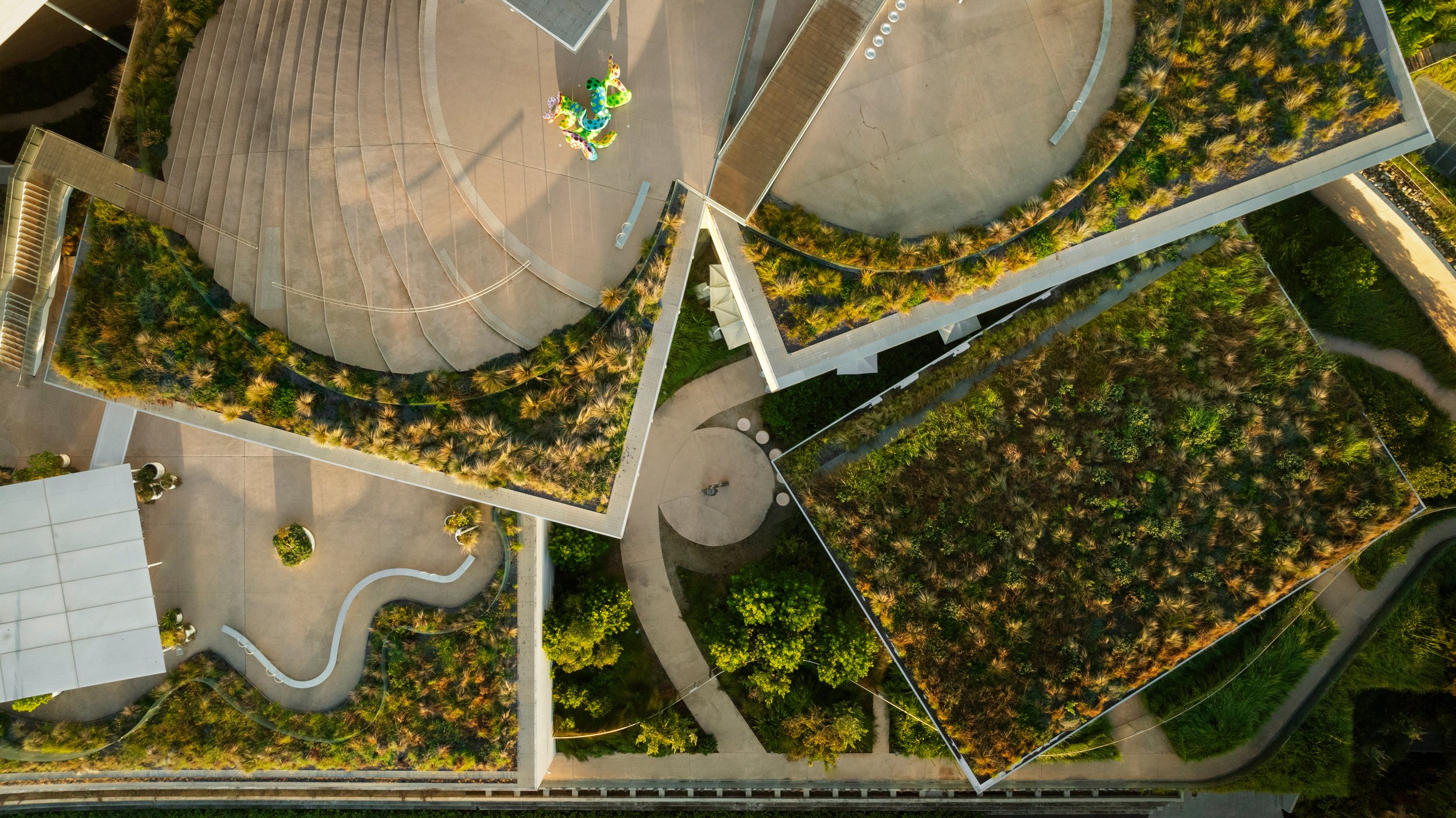 Aerial view of modern buildings with rooftop gardens and a walking path, including colorful playground equipment. Designed by McGregor Coxall Photo by Ruth Gold