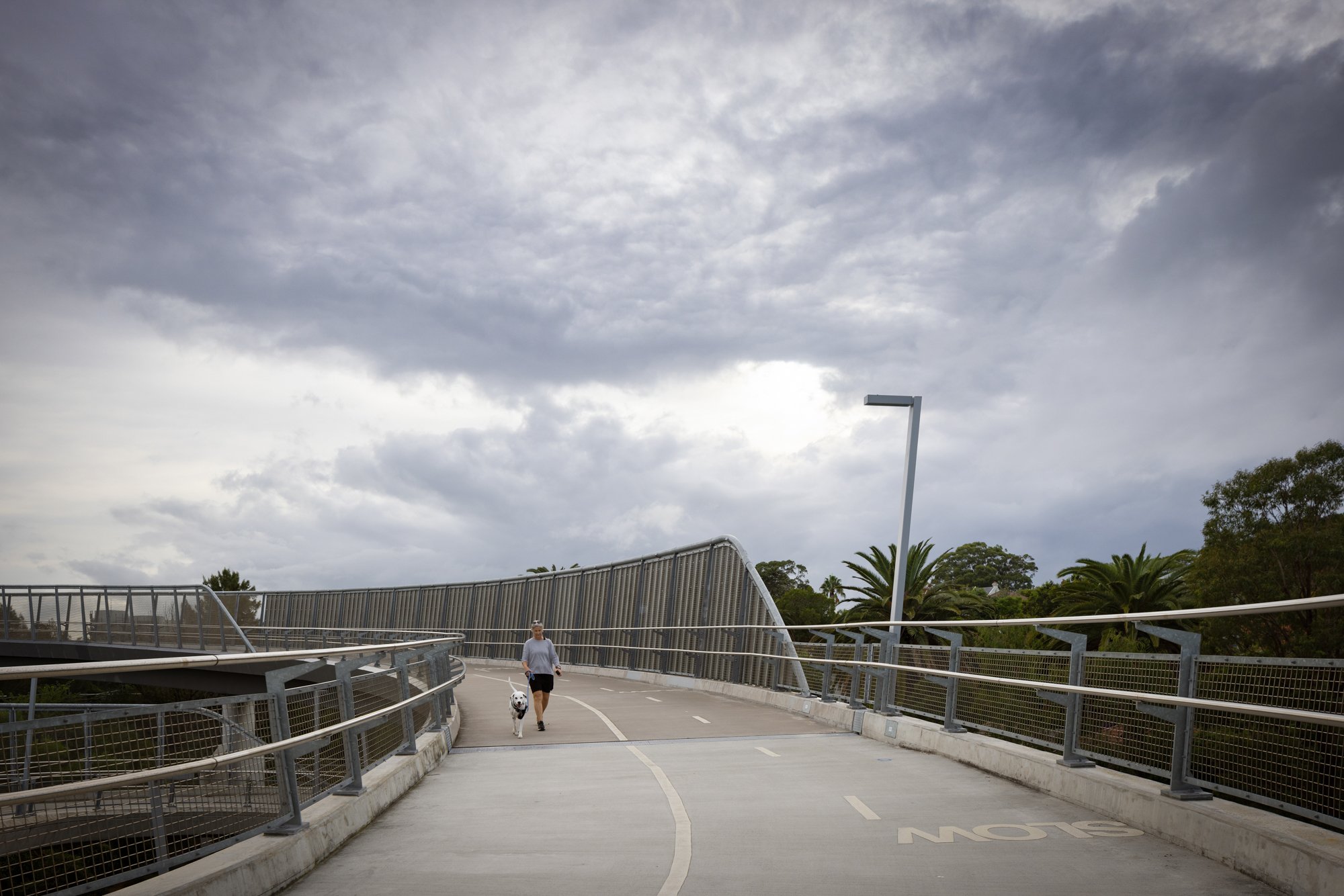 Person walking their dog on a modern, curved pedestrian bridge with metal railings, surrounded by trees and under a cloudy sky. Designed by Colin Polwarth Studio Photo by Ruth Gold