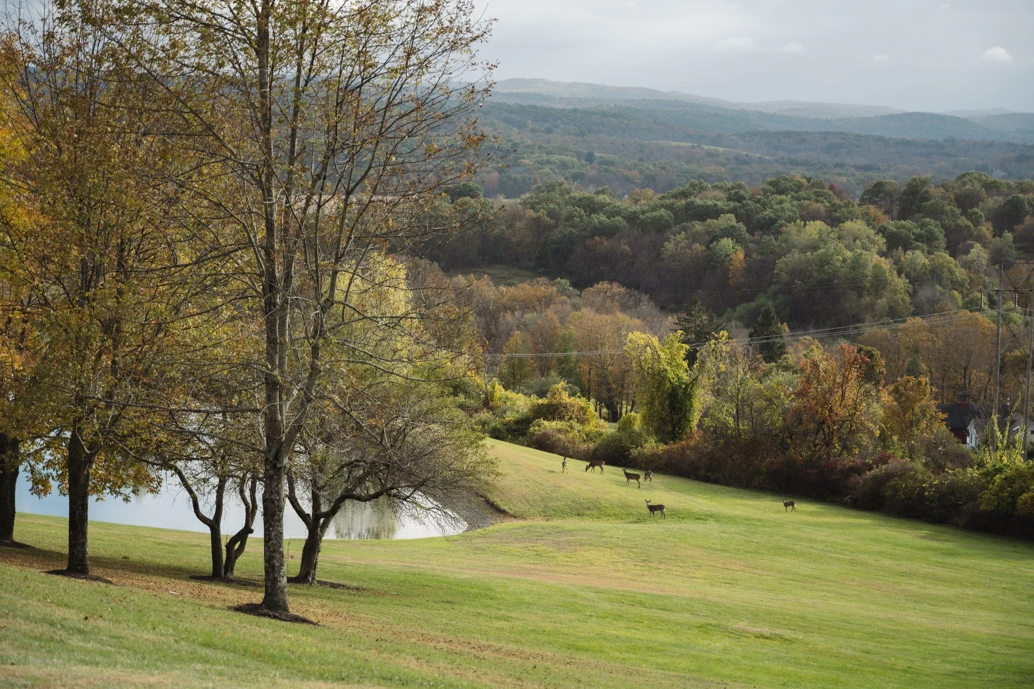 Landscape near Massachusetts