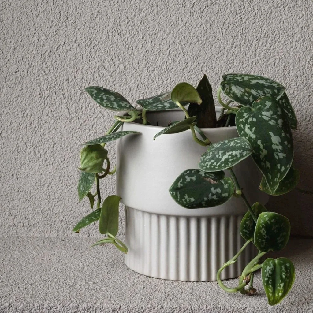 Elegant greige pot