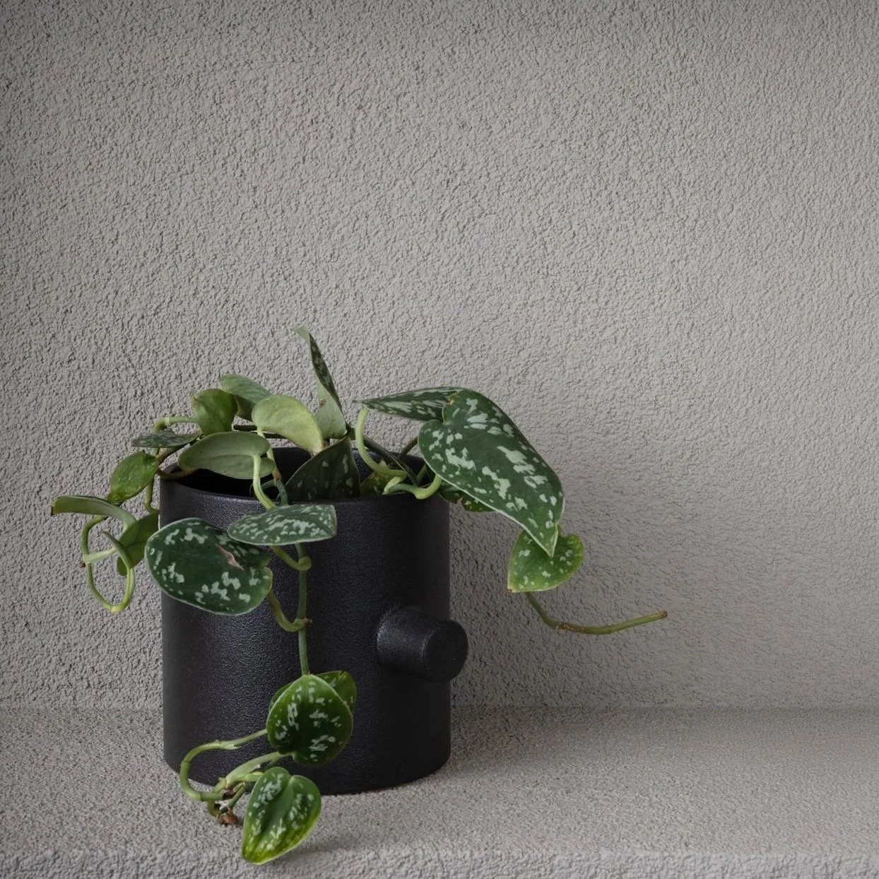 Cylindric  black pot