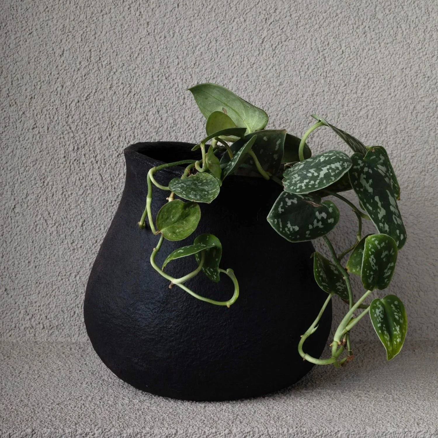 Organic black pot (medium)