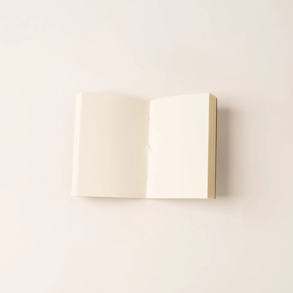 AVANTGARDE+OBJECTS+notebook_19_10_25-046.png