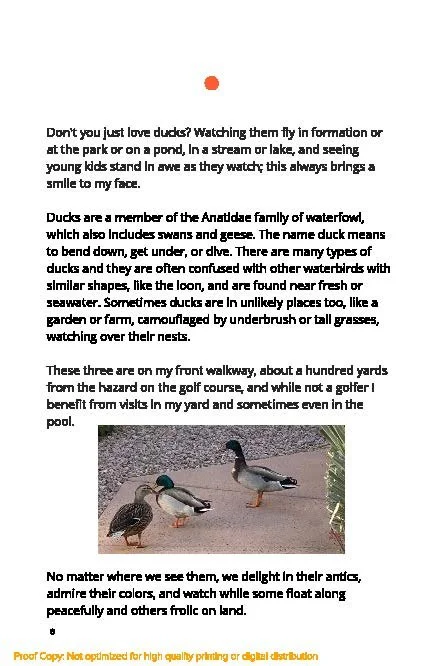 Hello Duck_Page_8.jpg