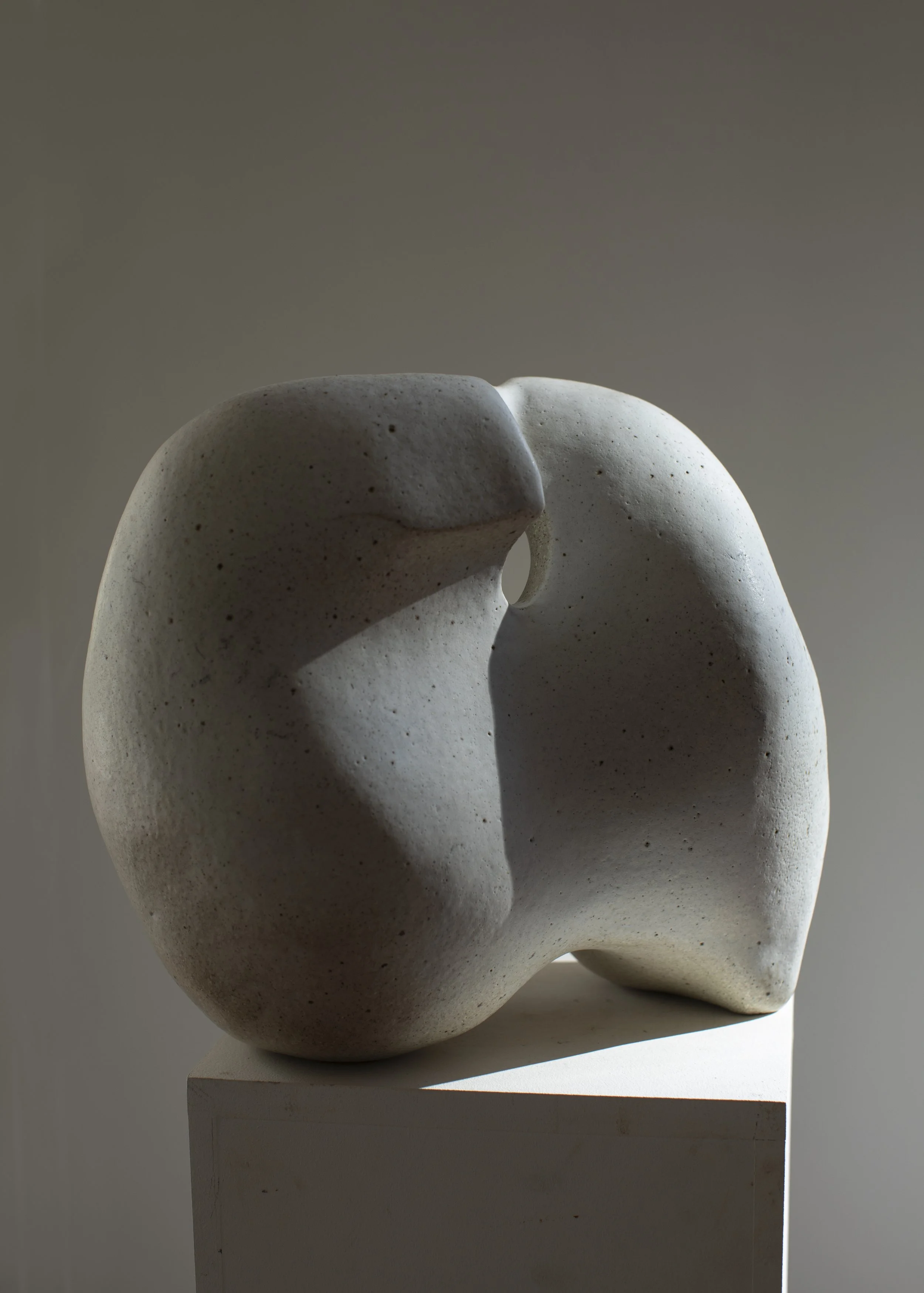 THE NEIGHBOURS CAT// Volume Series