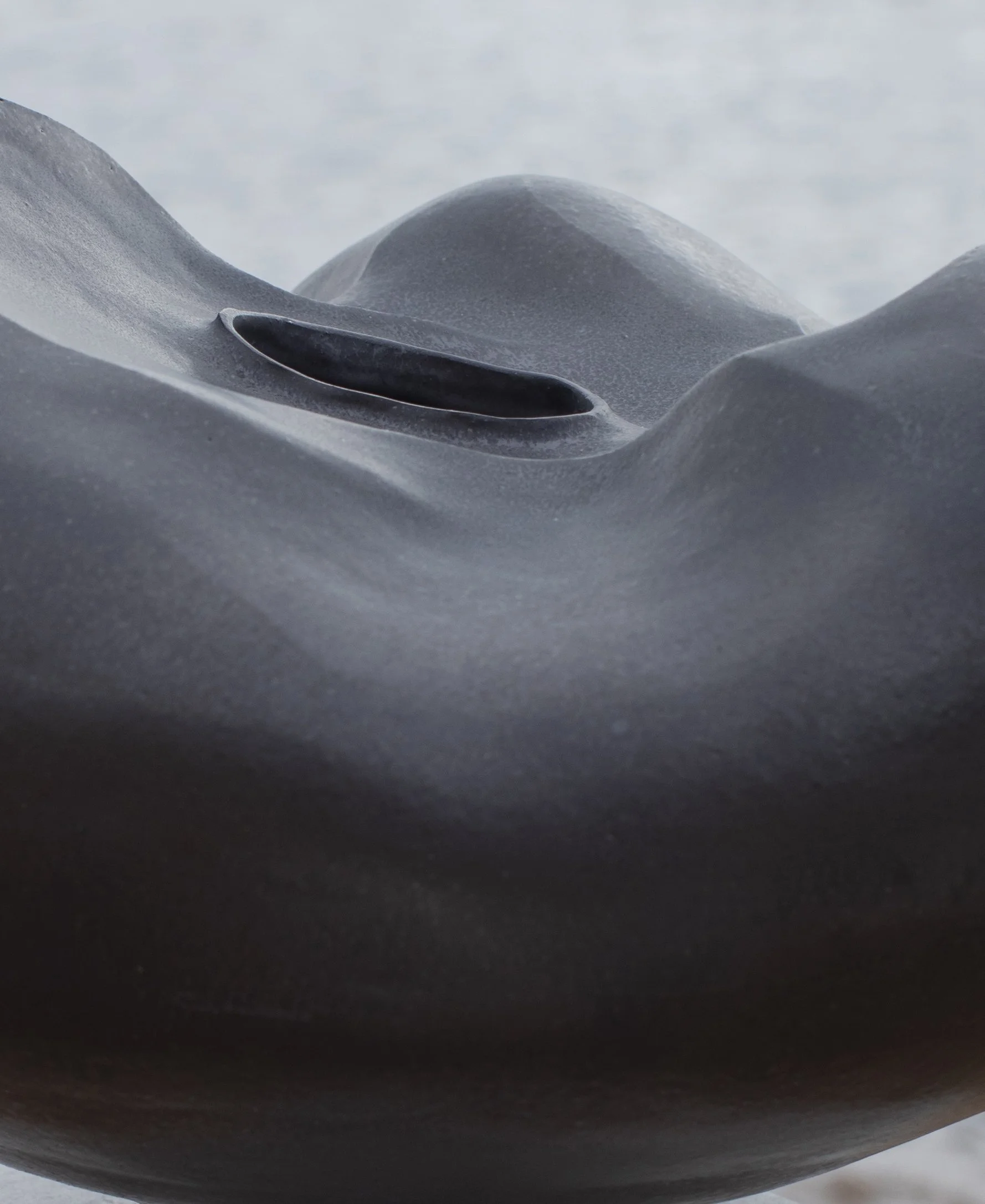 0E5A5739crop.jpg