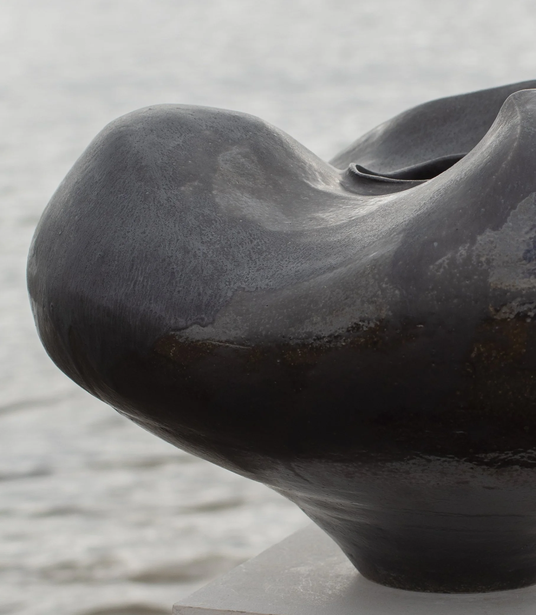 0E5A5737crop.jpg