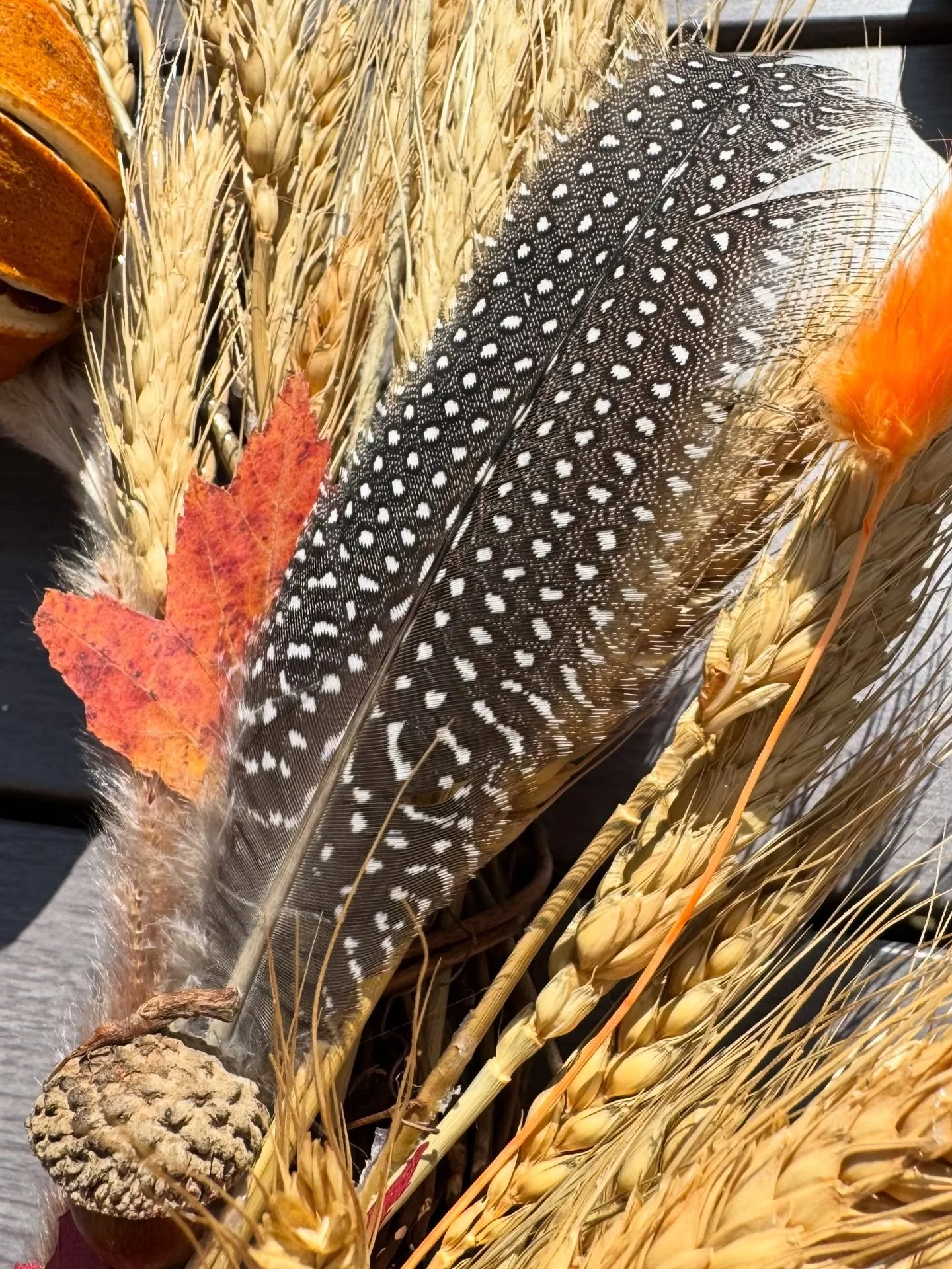 Speckled light, caught on a feather 🪶✨.

Each guinea fowl and hen feather in our autumn wreath has been naturally shed &ndash; a gift left gently behind, never taken. We gather only what the earth offers freely, shaping it into a story of the season