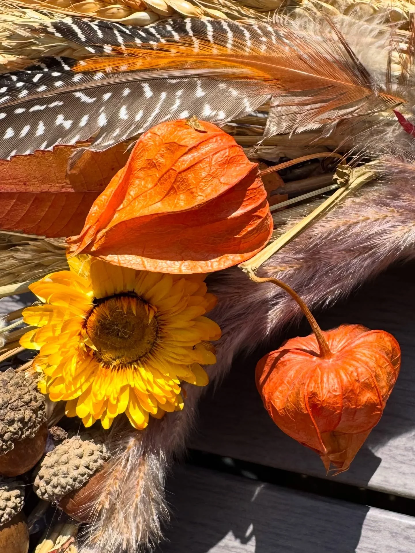 🏮 Among the woven branches of The Amber Hour wreath, small lanterns glow &ndash; not of paper, but of nature&rsquo;s own making.

These are physalis, or Chinese lanterns: delicate husks that hold their fruit in a fiery orange shell, like woodland la