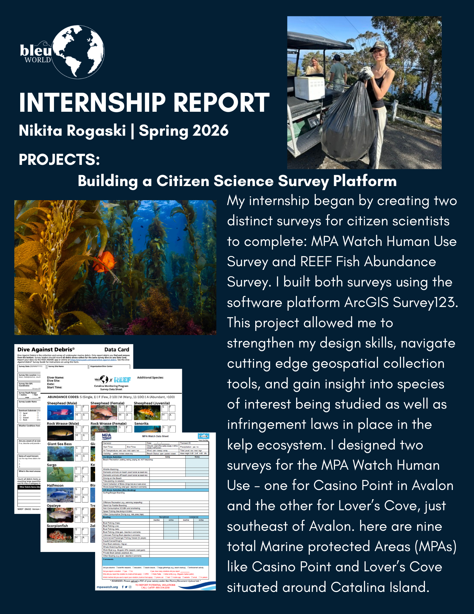 Nikita Rogaski Internship Report