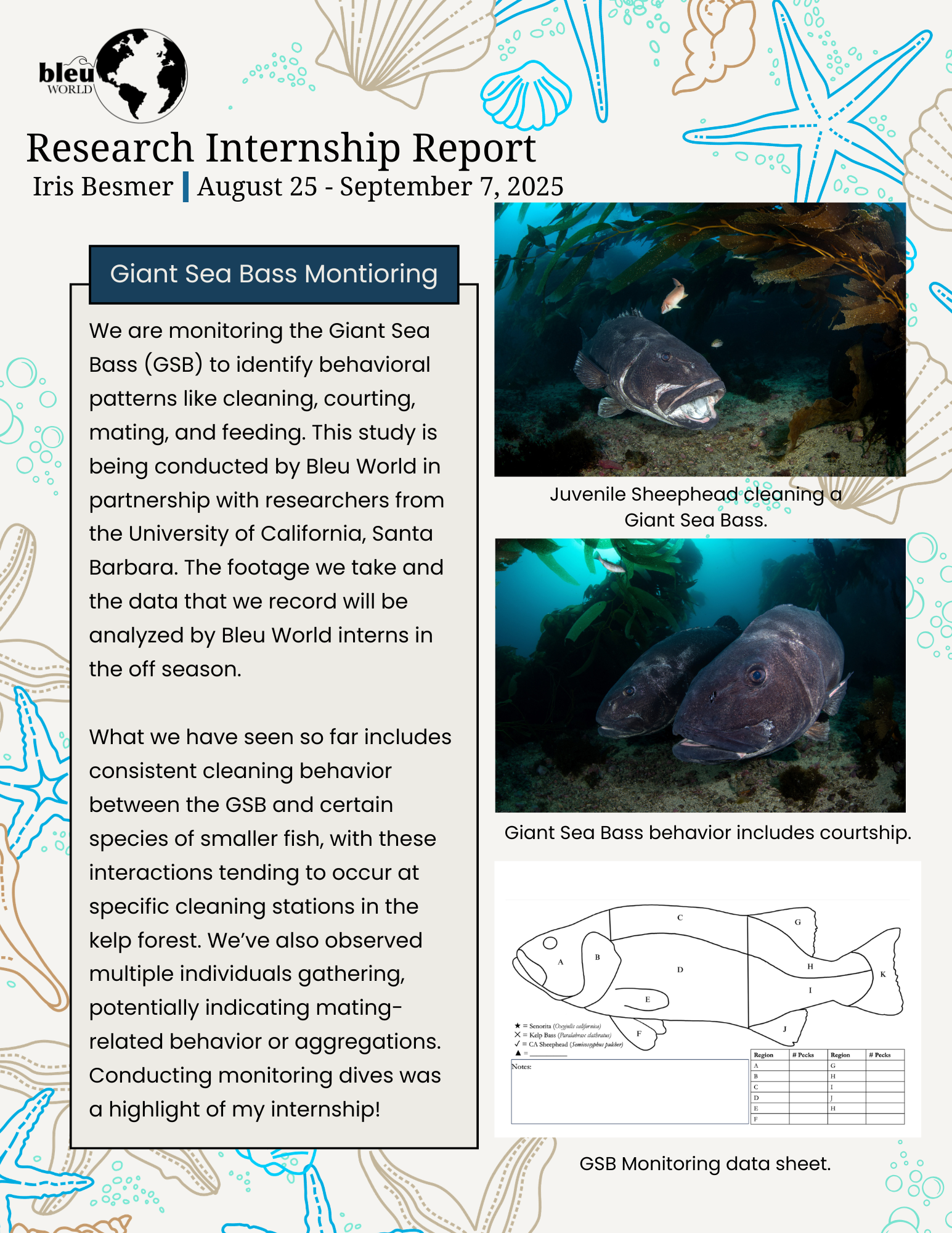 Iris Besmer Internship Report
