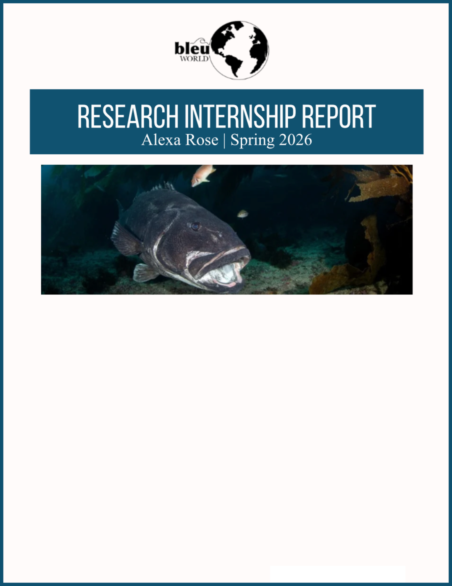 Alexa Rose Internship Report