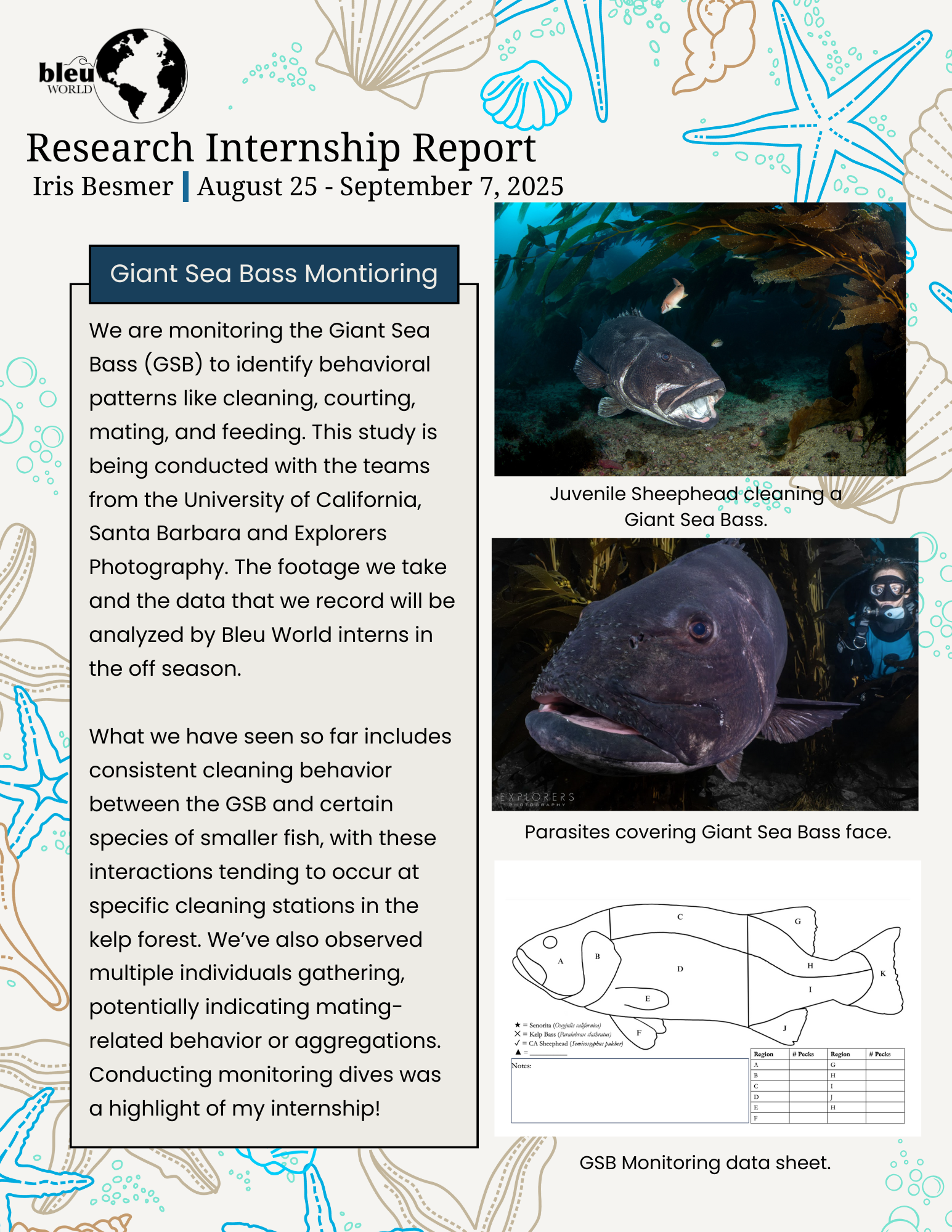 Iris Besmer Internship Report