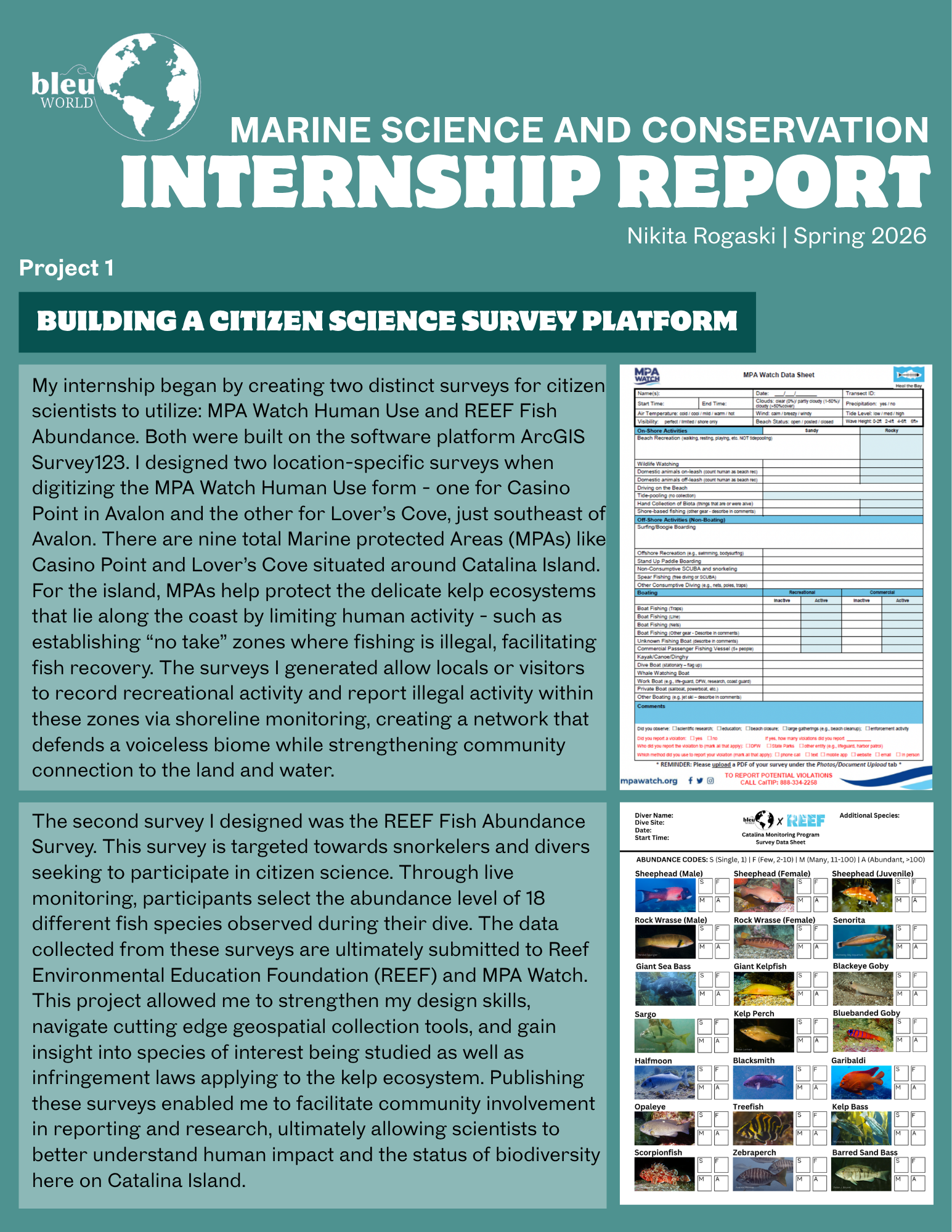 Nikita Rogaski Internship Report