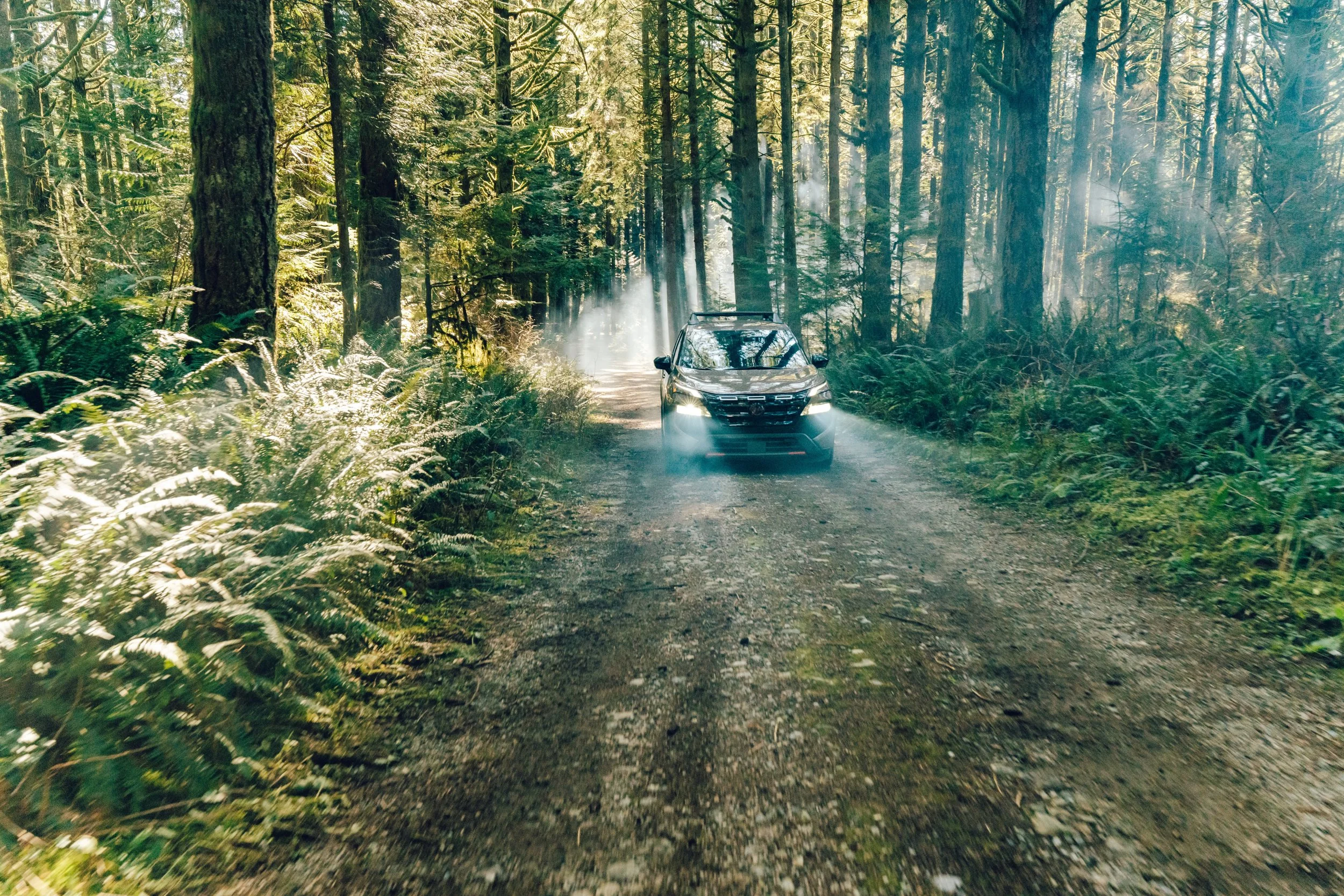 A silver SUV driving on a dirt forest path surrounded by tall green trees and lush foliage with sunlight filtering through the canopy.