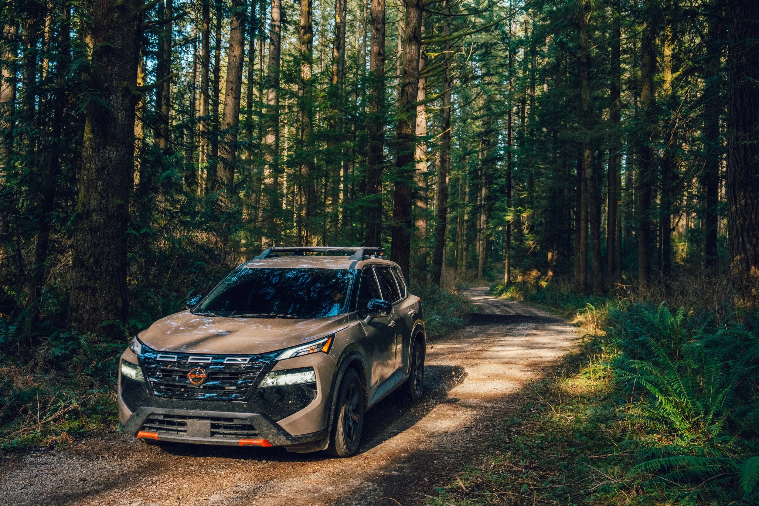 A tan SUV parked on a dirt trail in a dense forest of tall trees with green foliage.