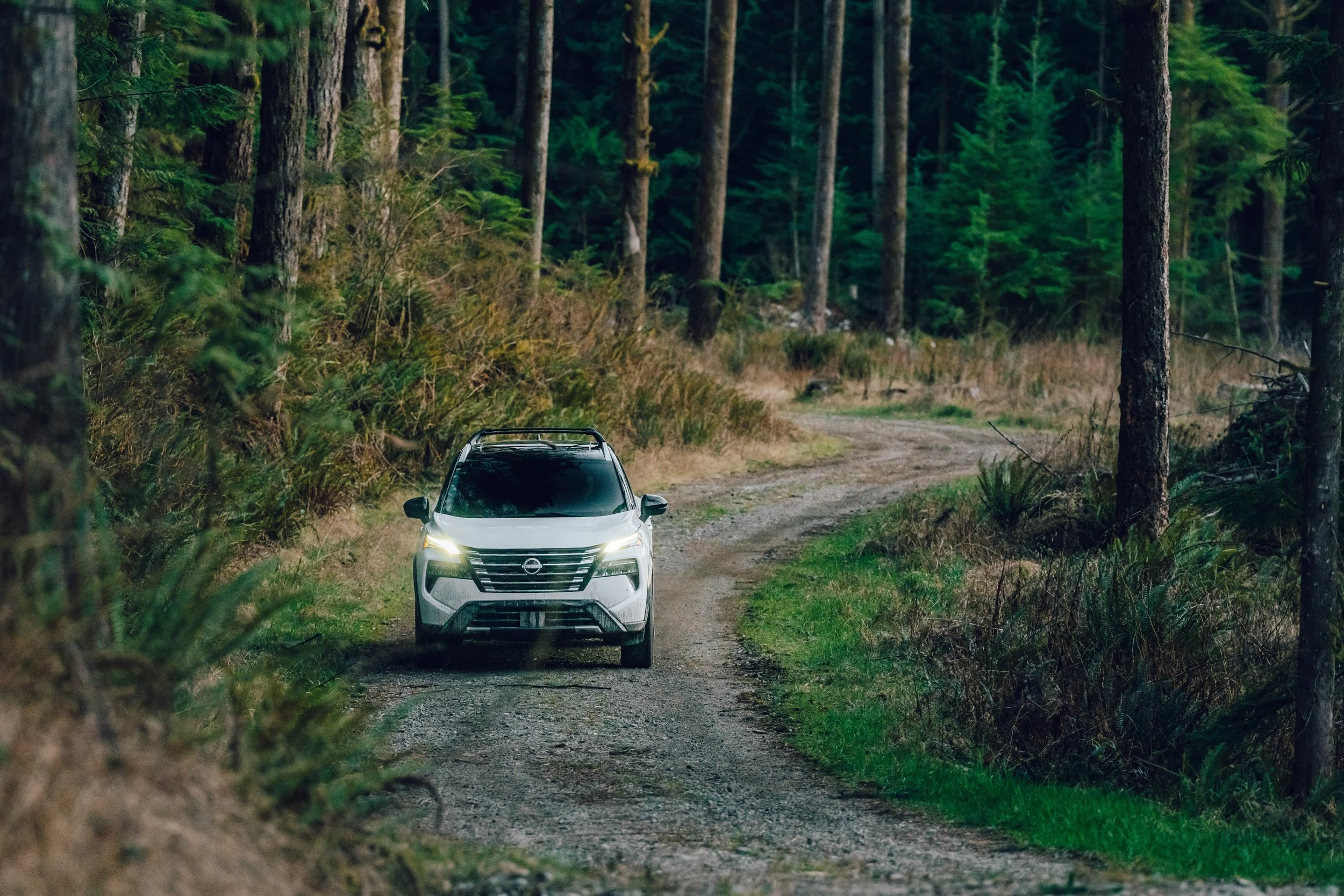 A white SUV driving on a dirt forest trail surrounded by tall trees and green foliage.