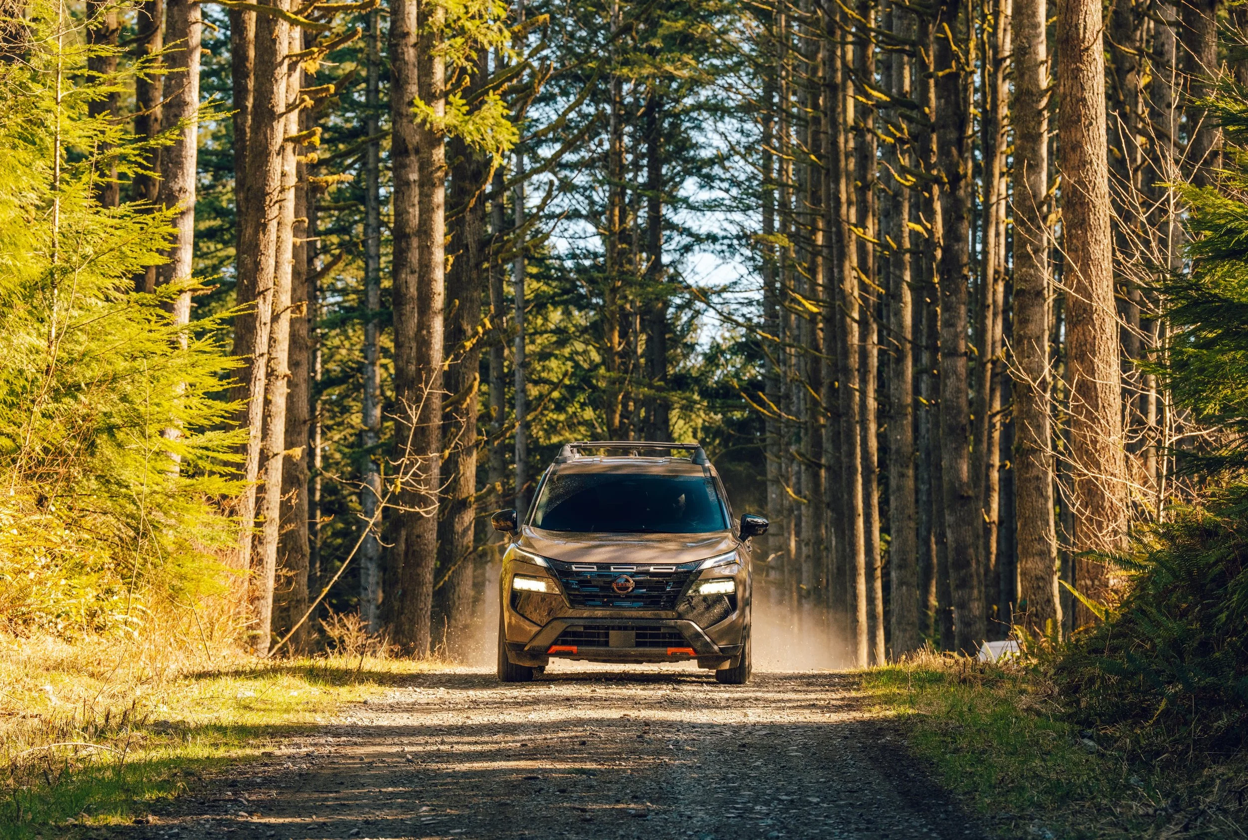 A black vehicle driving on a dirt trail through a dense forest of tall green trees in daytime.