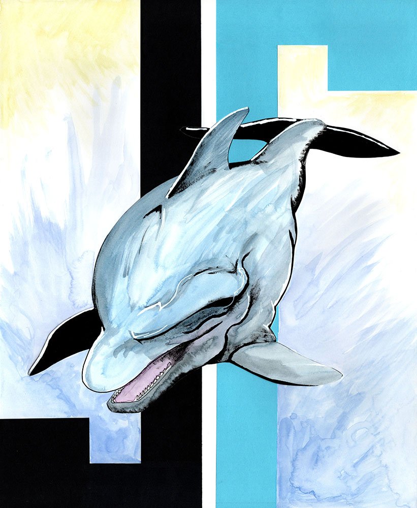 Dolphin-Graphic-Art-Watercolor-Henry-Rose.jpg