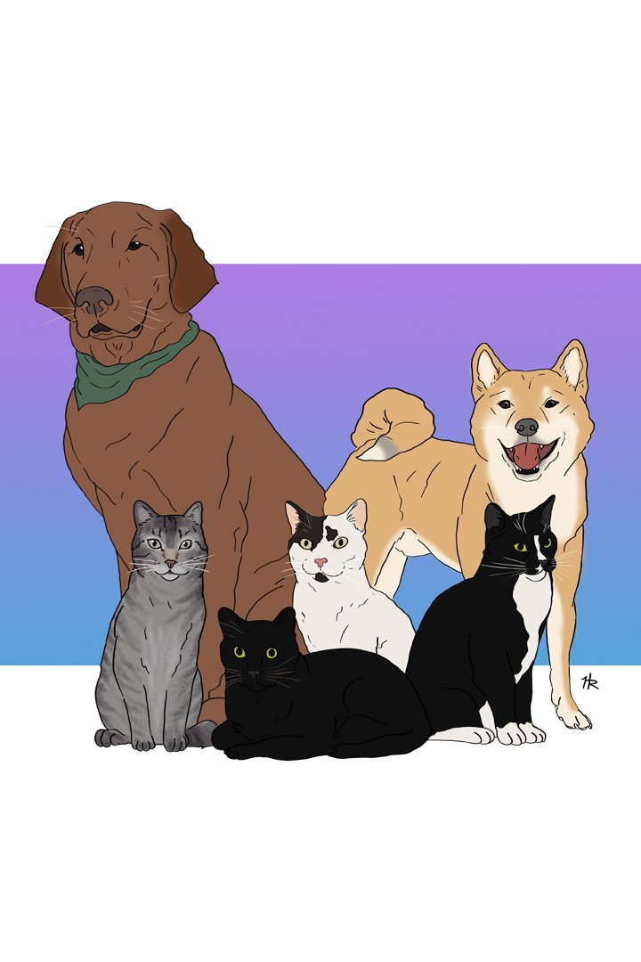 Rose_Henry_Design_Illustration_Pets.jpg
