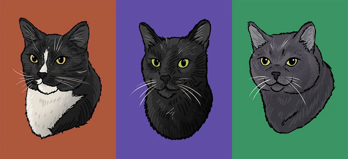 Cats-Cute-Sticker-Art-Henry-Rose.jpg