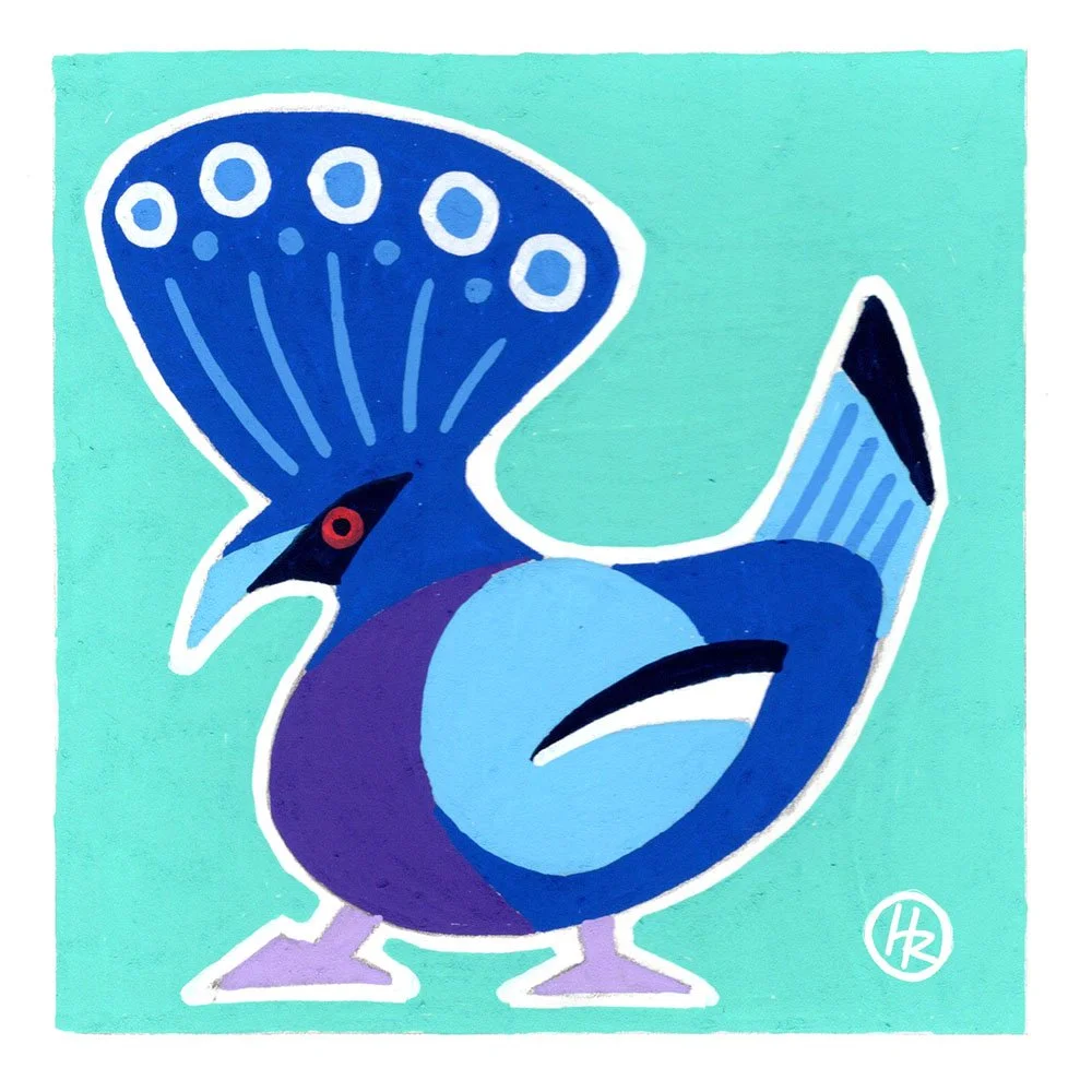 Victoria-Crown-Pigeon-Illustration-Posca-Henry-Rose.jpg