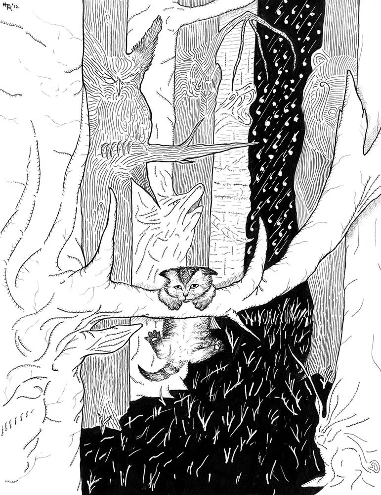 Cat-Scary-Forest-Ink-Drawing-Henry-Rose.jpg