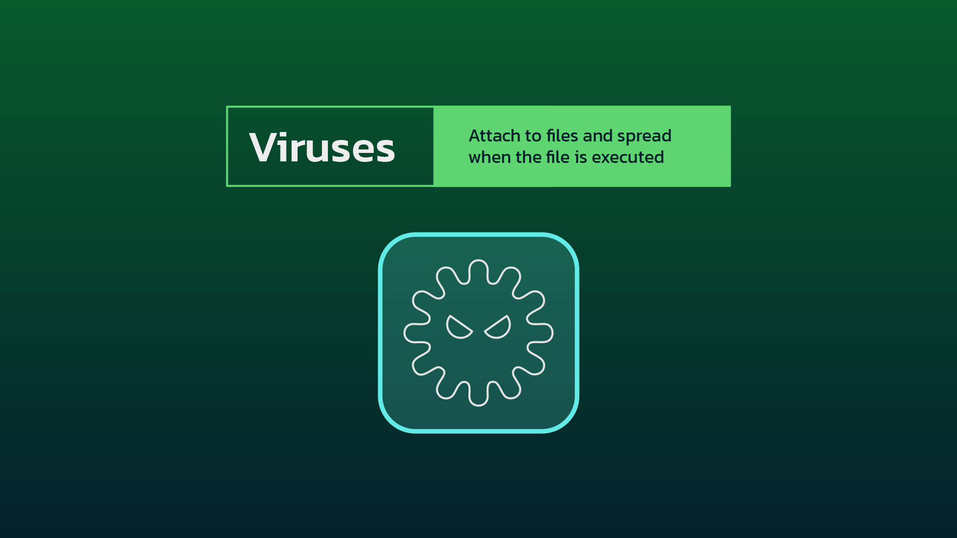 CYB334-Virus-Types.gif