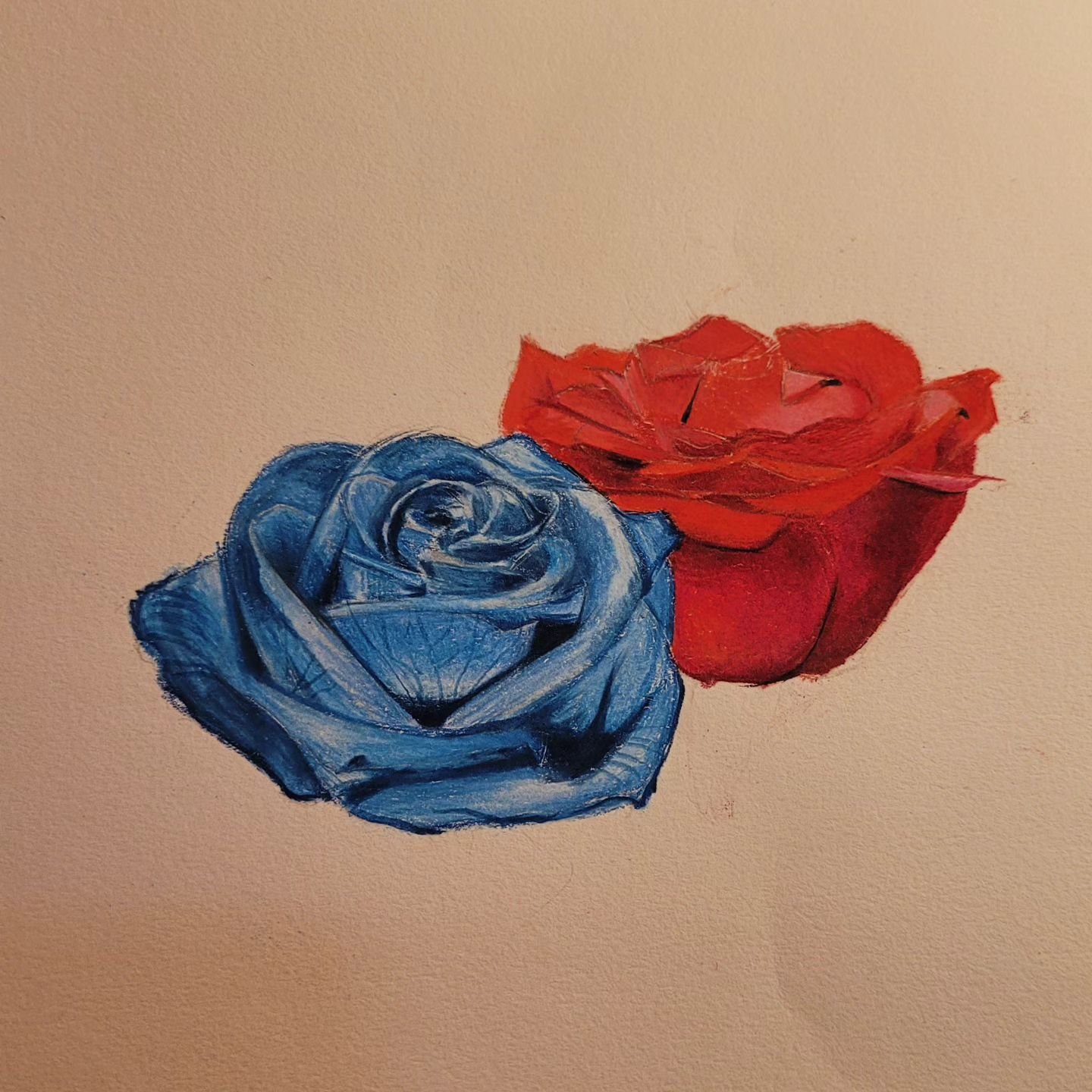 Flowers are in bloom, and the hum of spring is in the air. In this time of renewal, Blue Red Roses has decided to stop playing live shows. We will continue to write and record new music, and keep up to date on our socials... so stay tuned to some new