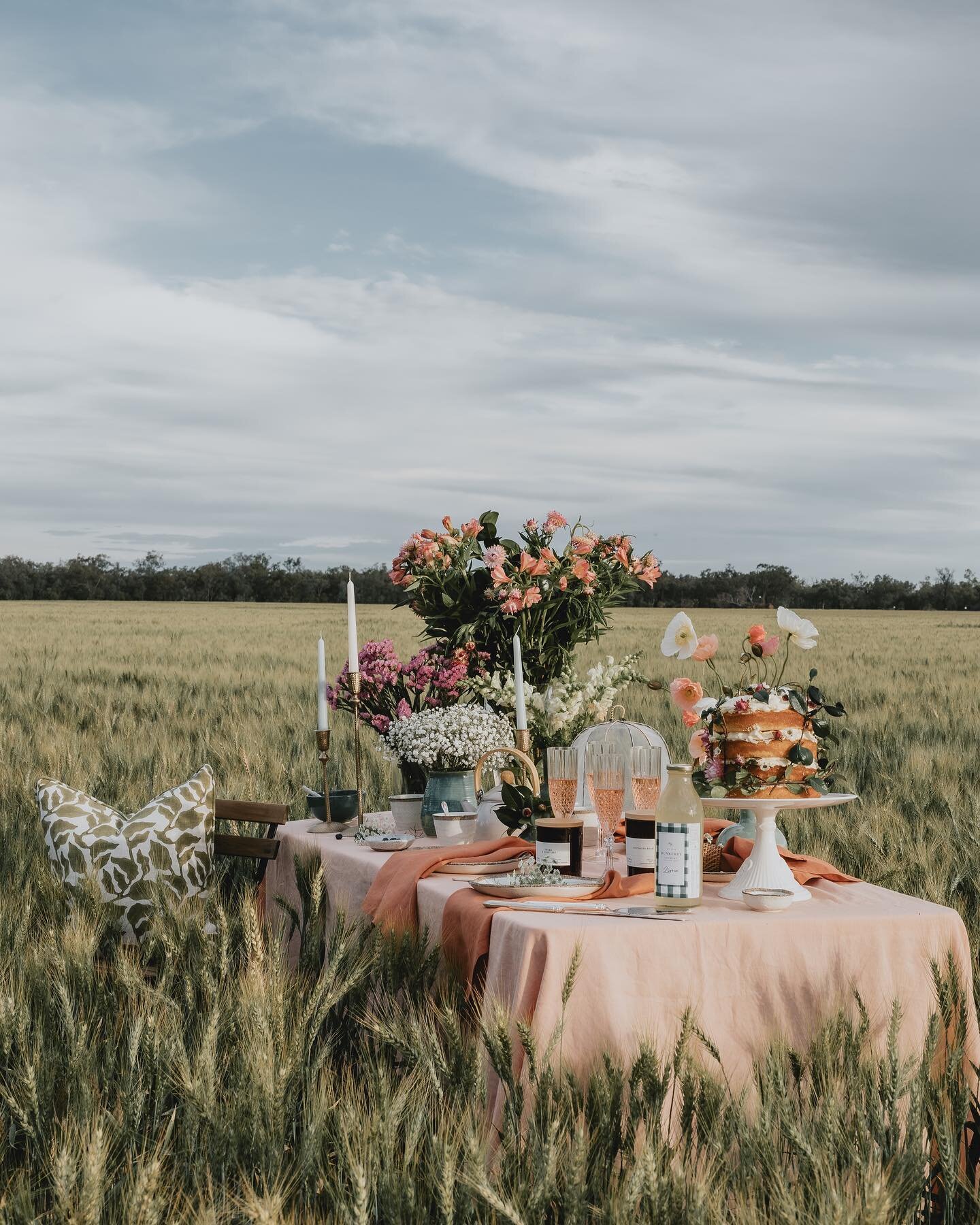 @longlunchlinen make BIG, BEAUTIFUL flax linen tablecloths. 

As soon as I saw this ros&egrave; linen I knew I wanted this as the base for this @graziher shoot. 

Dusty pink and emerald green, what a combination. 

 #graziher #paddockpicnic #harvest2