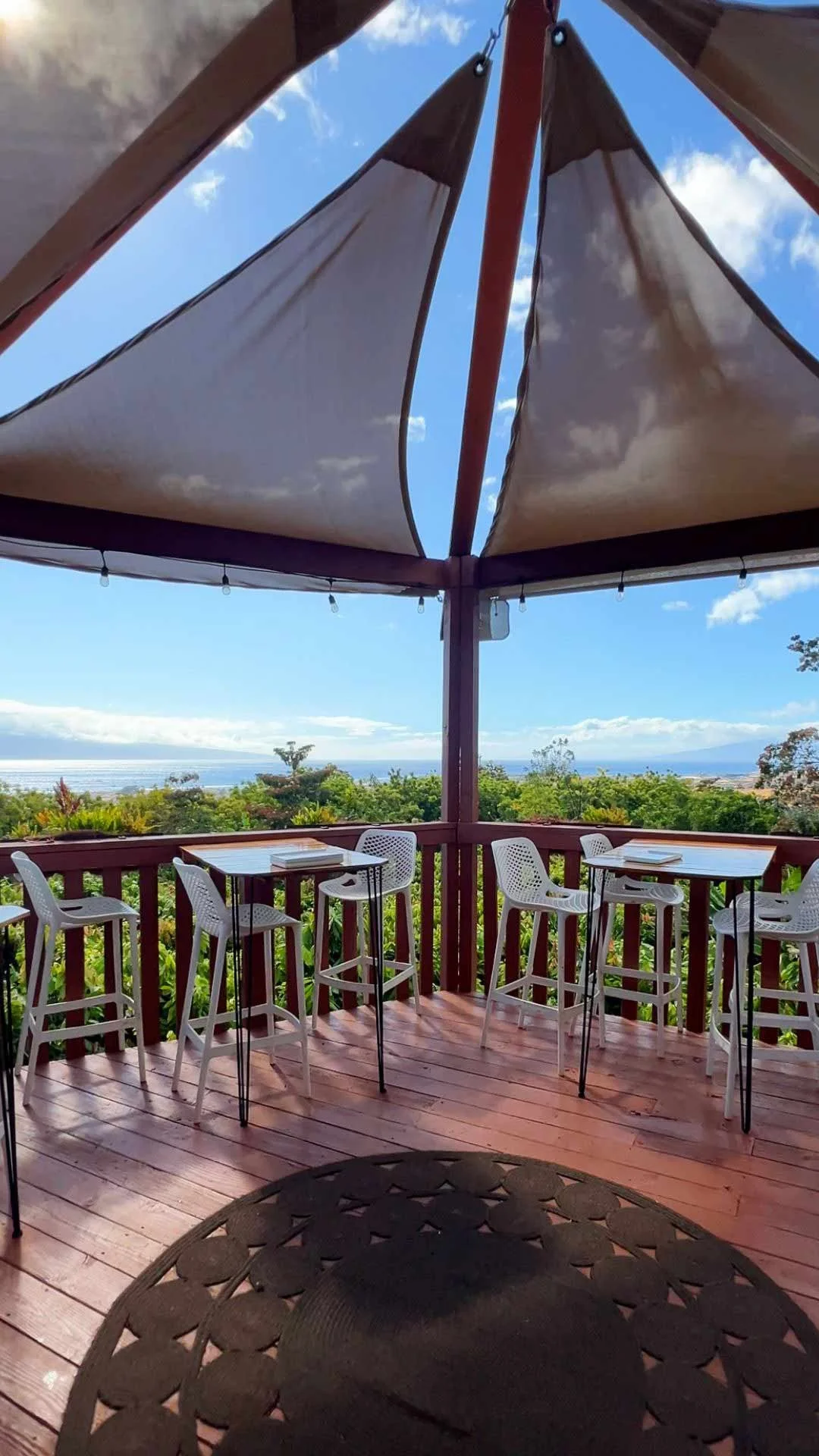 Maui Chocolate Tour Review Social Media Video