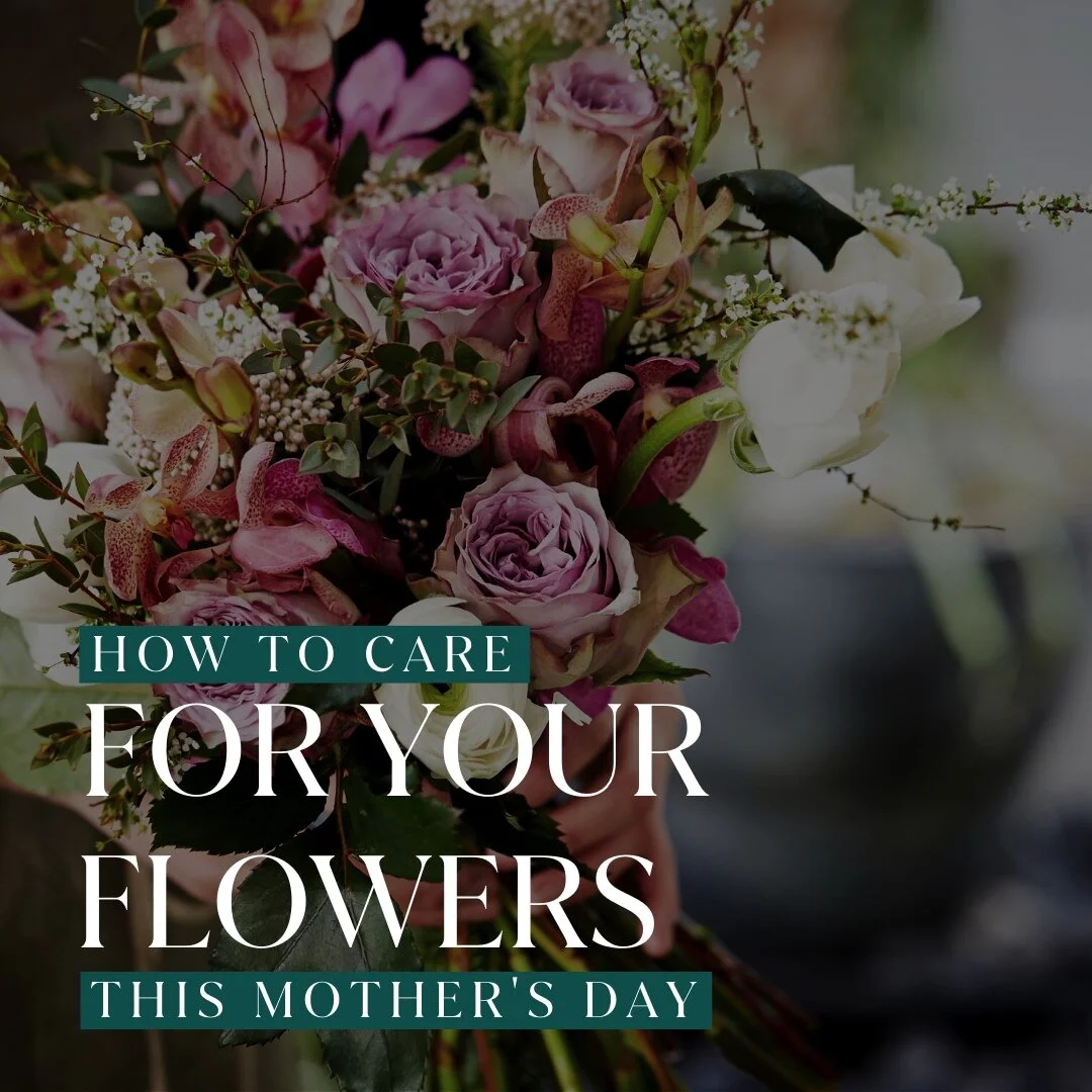 Ministry of Flowers Hornsby Florist & Flower Delivery
