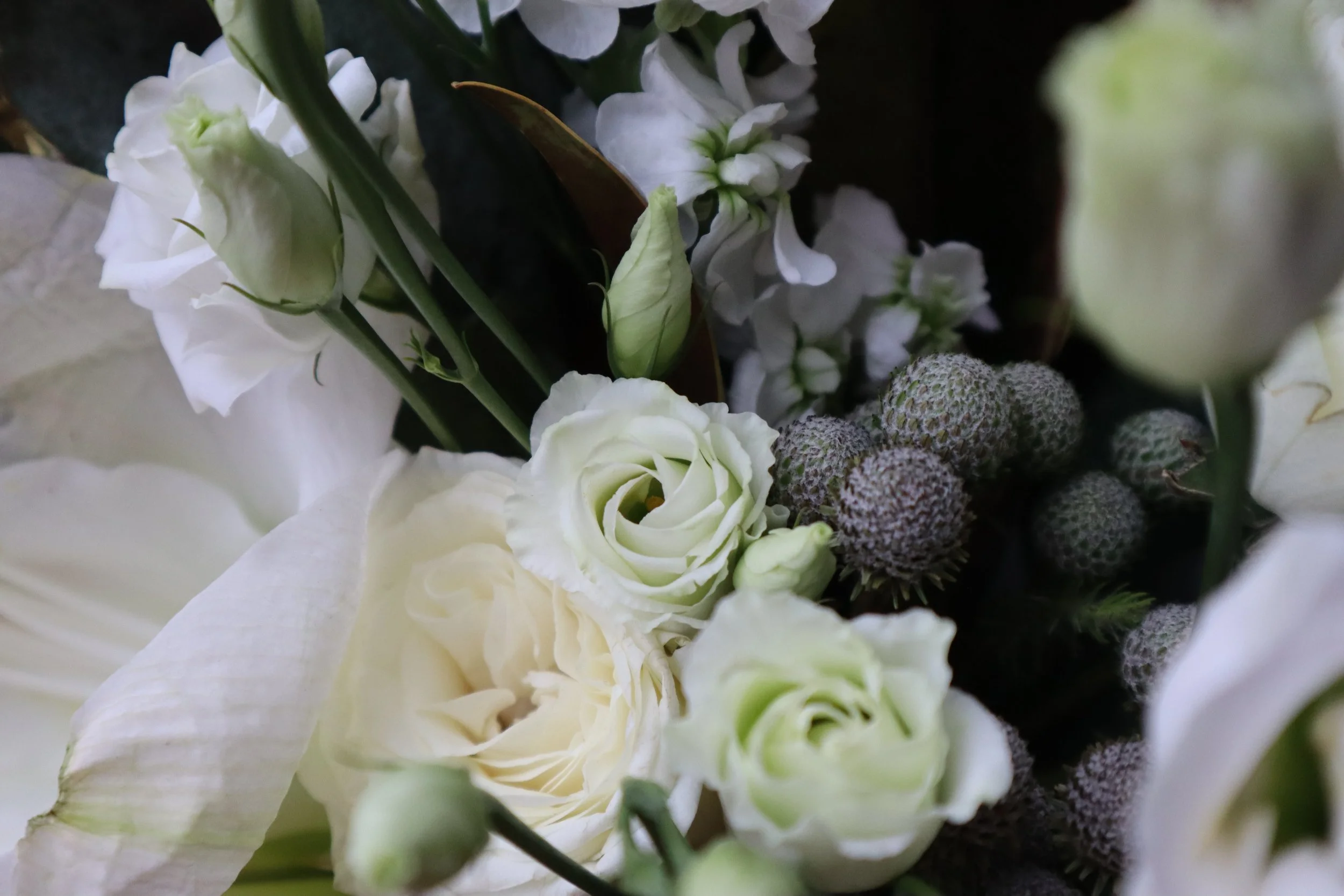 Ministry of Flowers Hornsby Florist & Flower Delivery