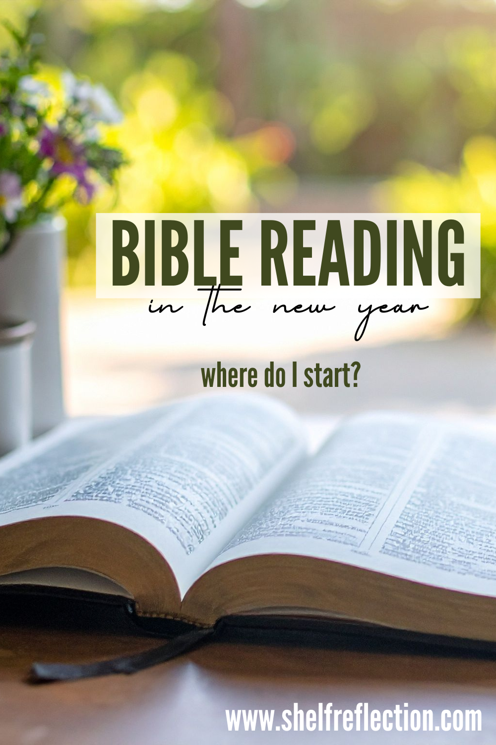 Bible Reading in the New Year