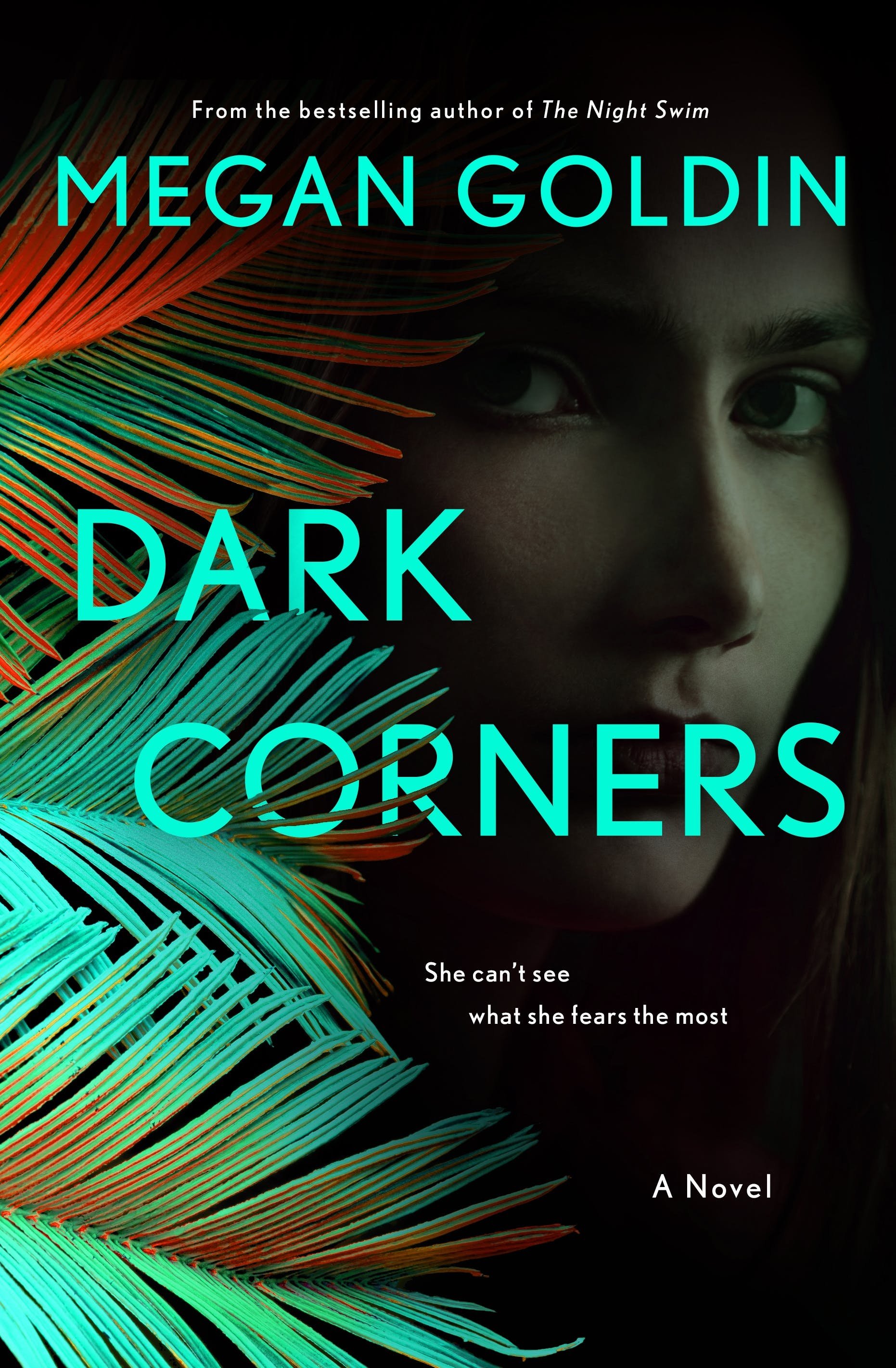 Dark Corners (Rachel #2) by Megan Goldin- Book Review — Shelf