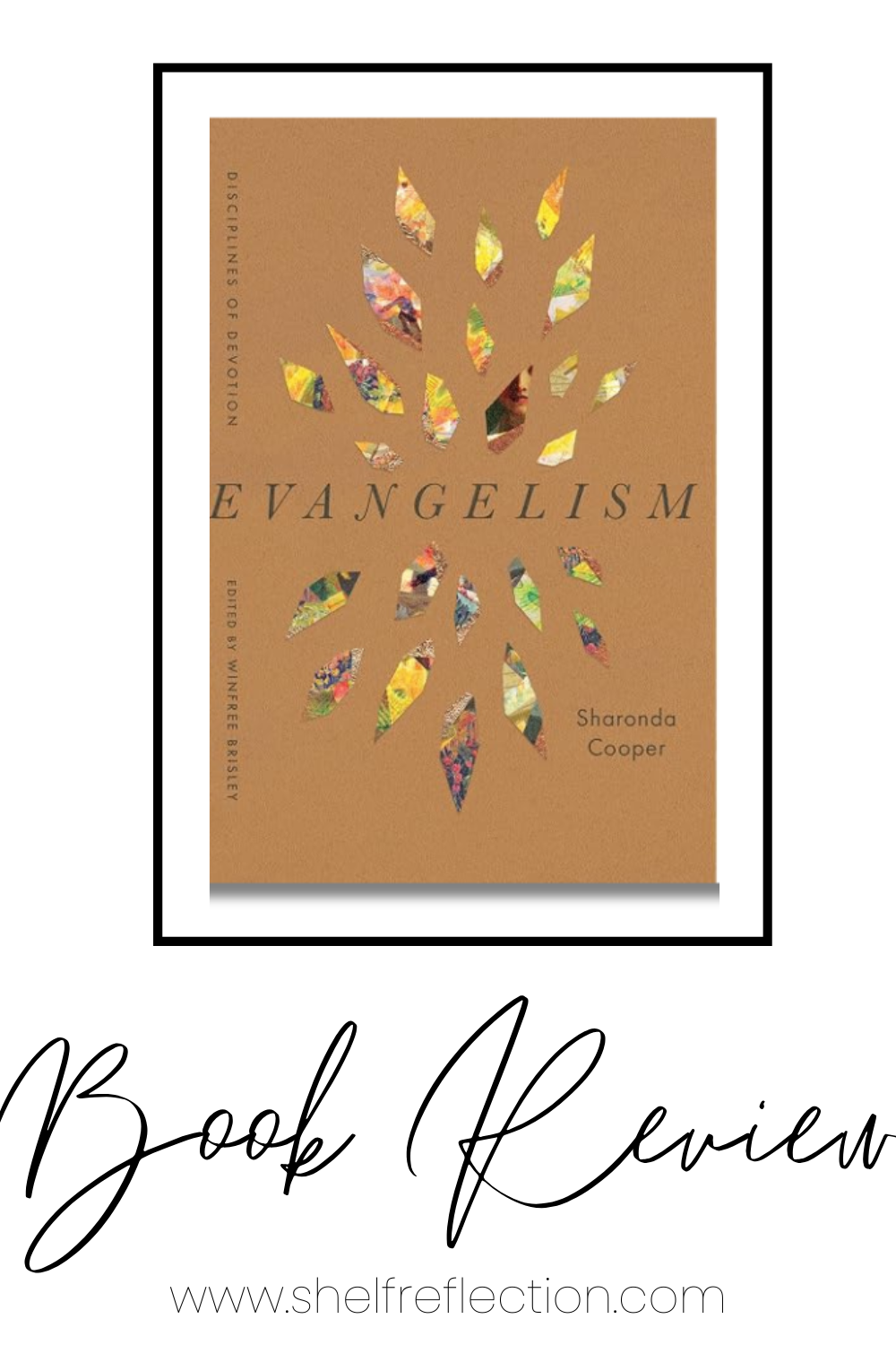 Evangelism Book Review Pin