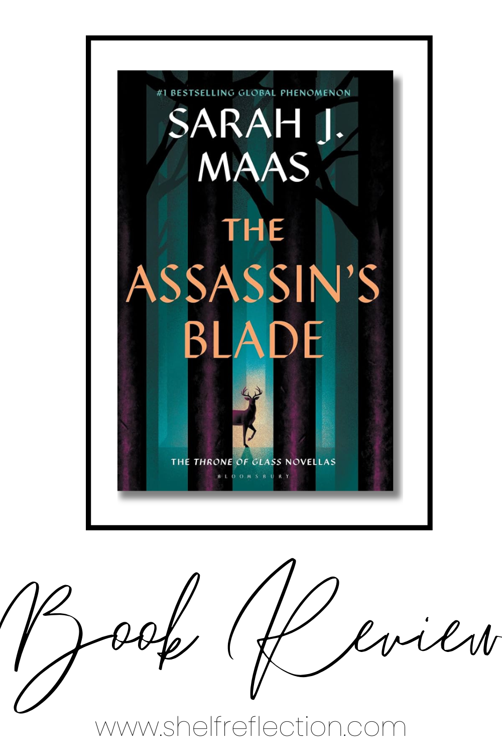 The Assassin's Blade Book Review Pin