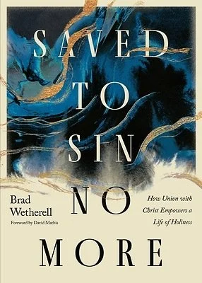 Saved to Sin No More Book Cover