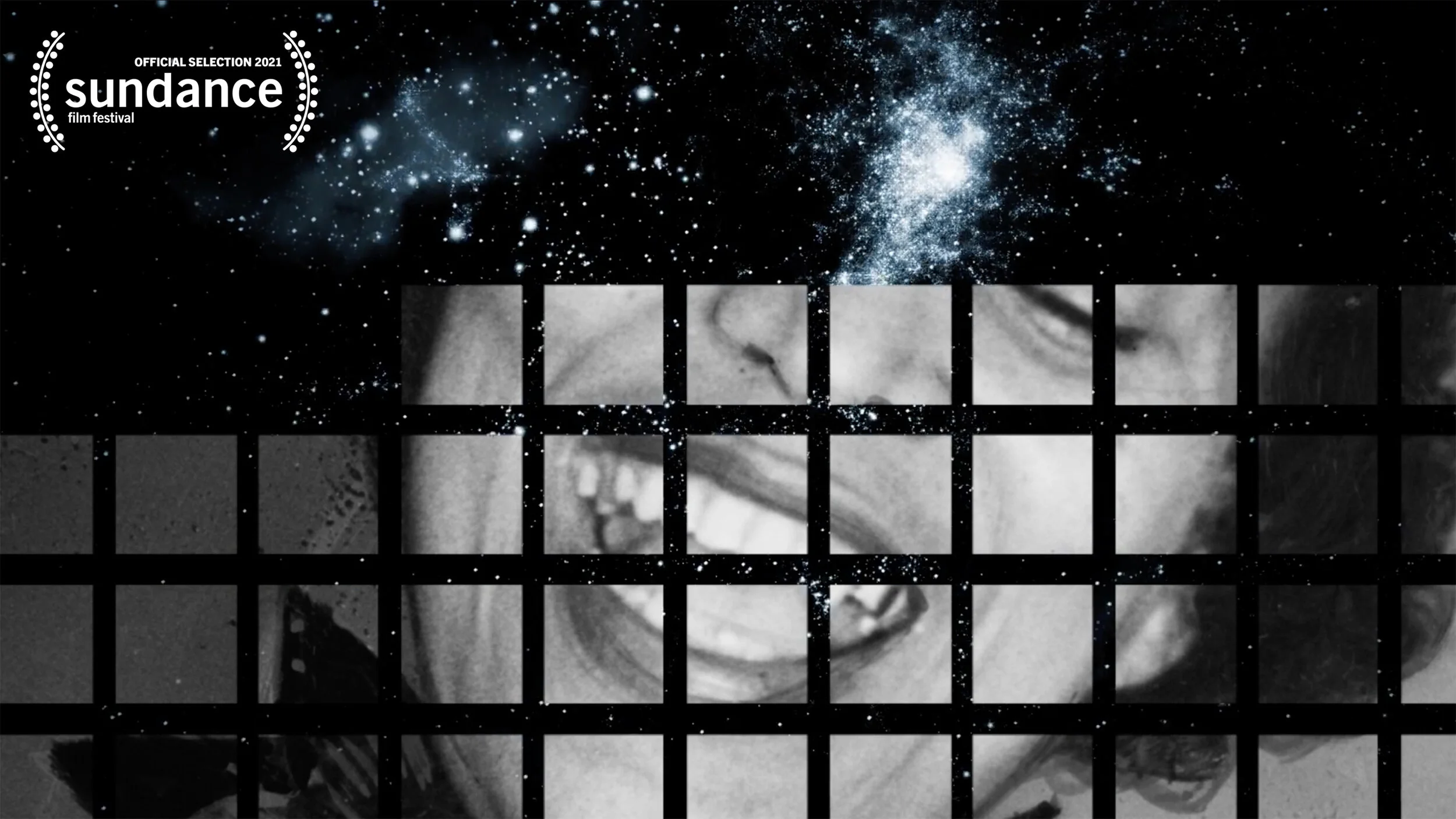 Traveling the Interstitium with Octavia Butler